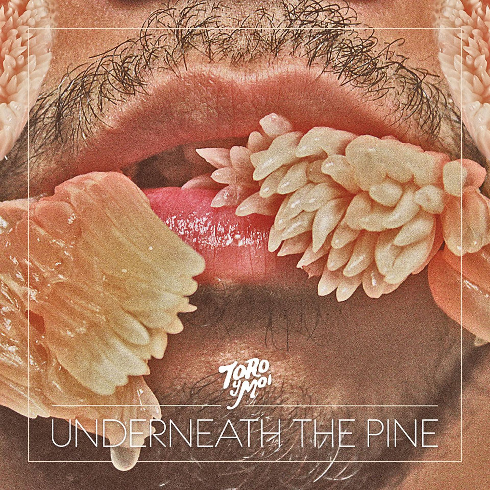 Постер альбома Underneath The Pine