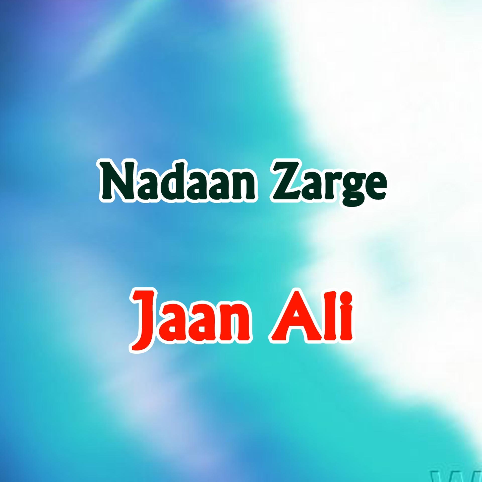 Постер альбома Nadaan Zarge