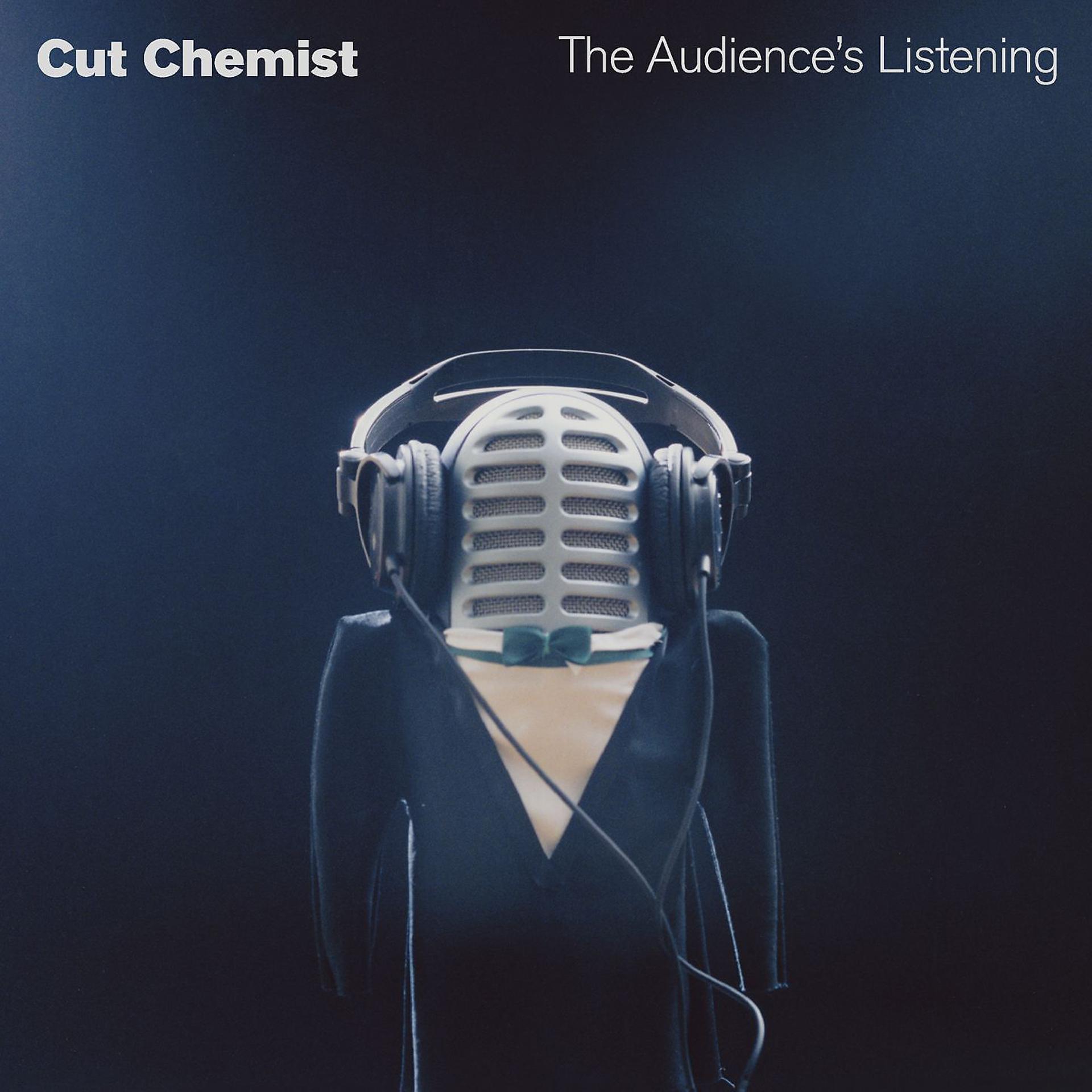 Постер альбома The Audience's Listening (DMD Album)