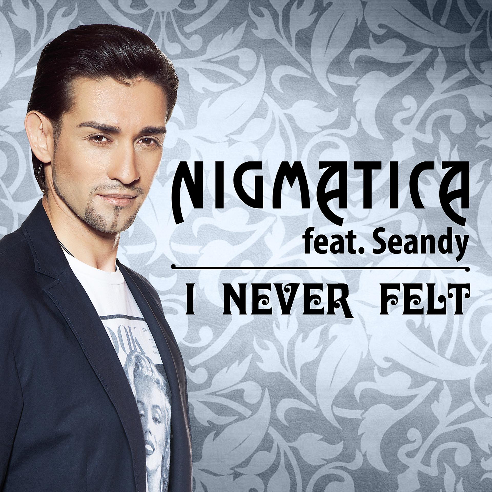 Постер альбома I Never Felt (feat. Seandy) [Radio Edit]