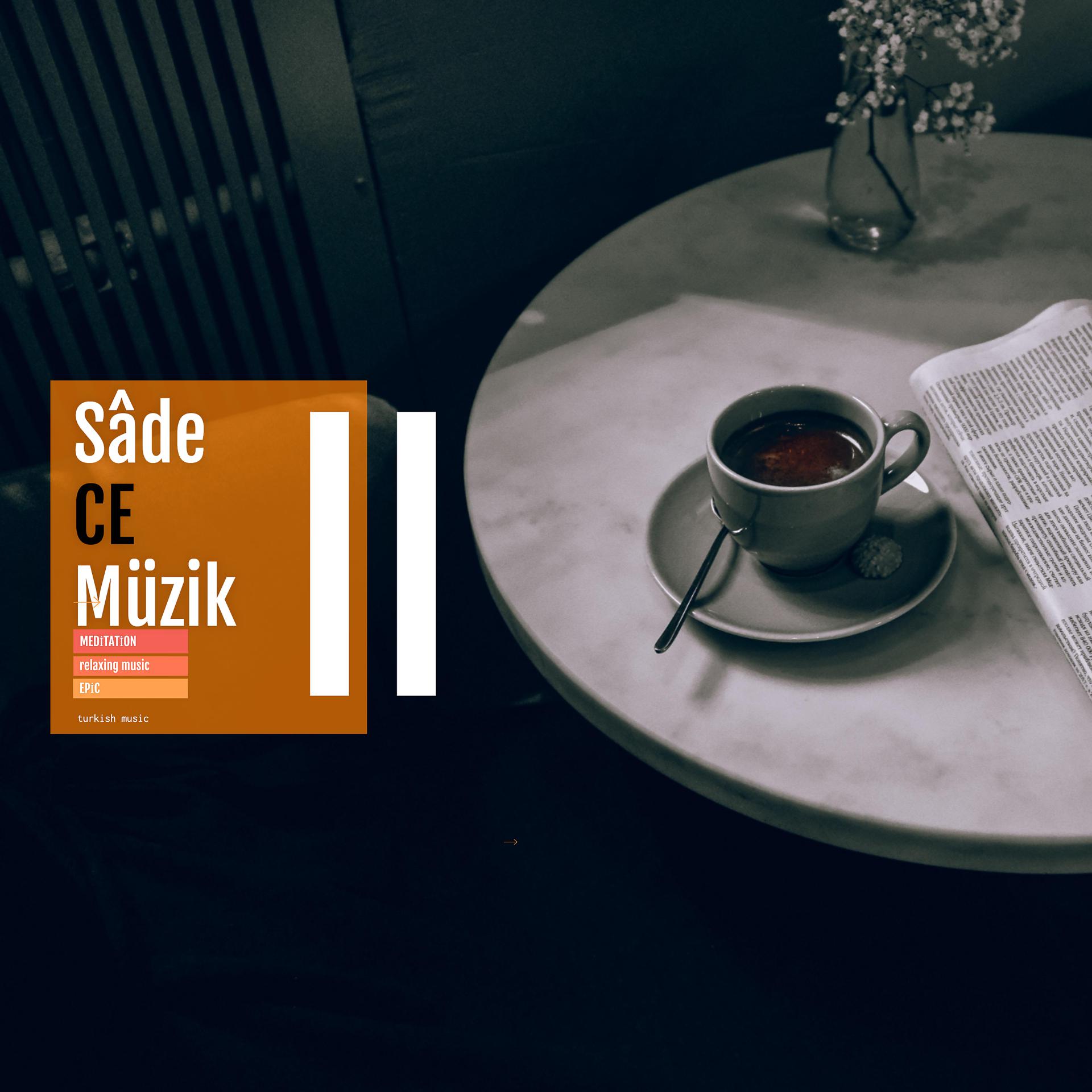 Постер альбома Sadece Müzik 2