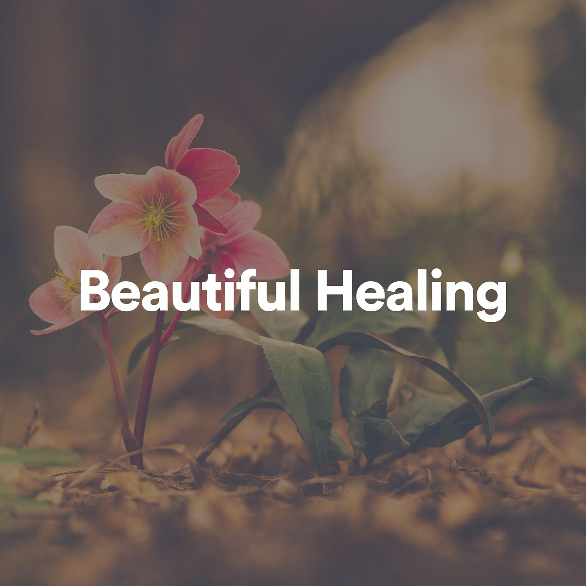 Постер альбома Beautiful Healing