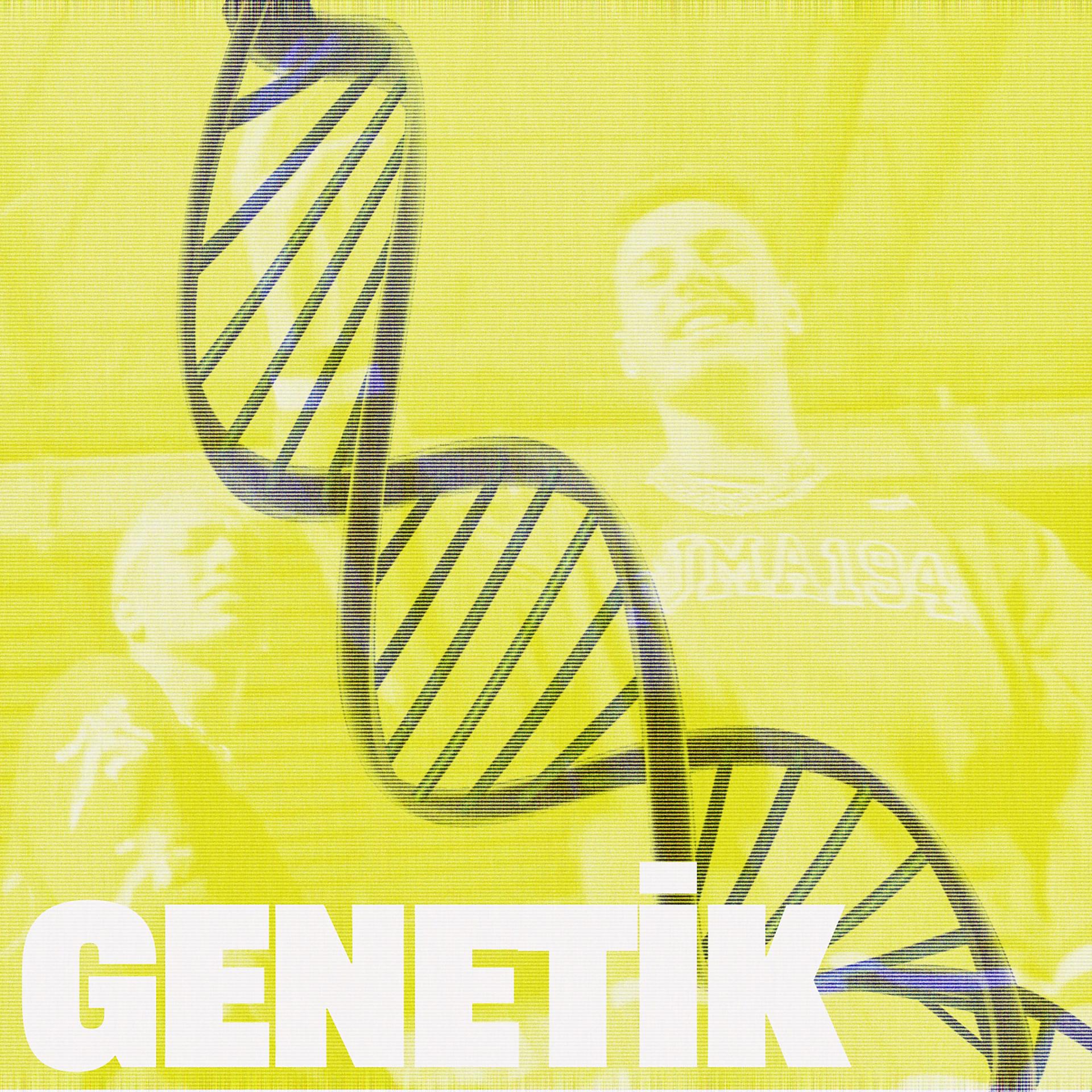 Постер альбома Genetik