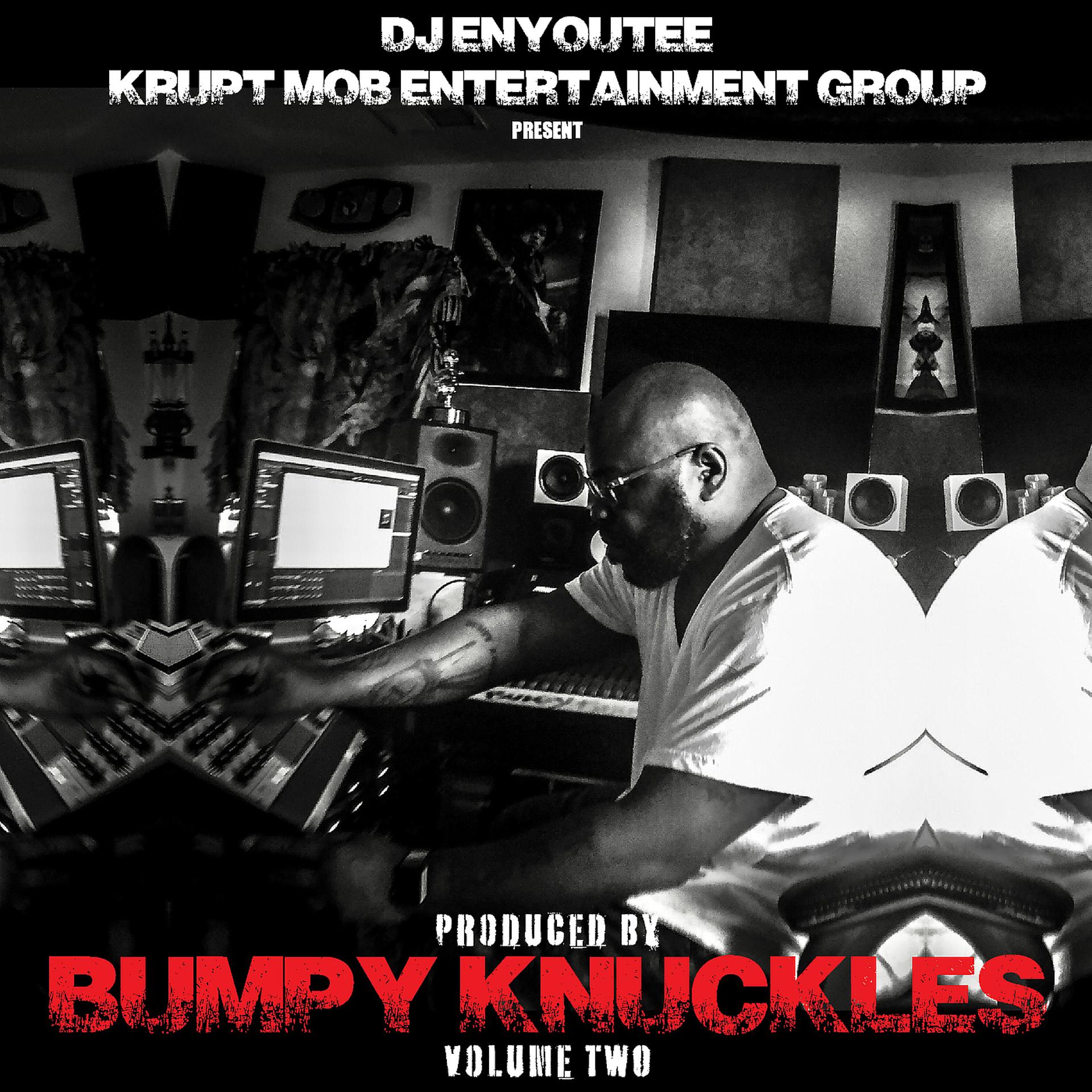 Постер альбома Produced by Bumpy Knuckles, Vol. 2