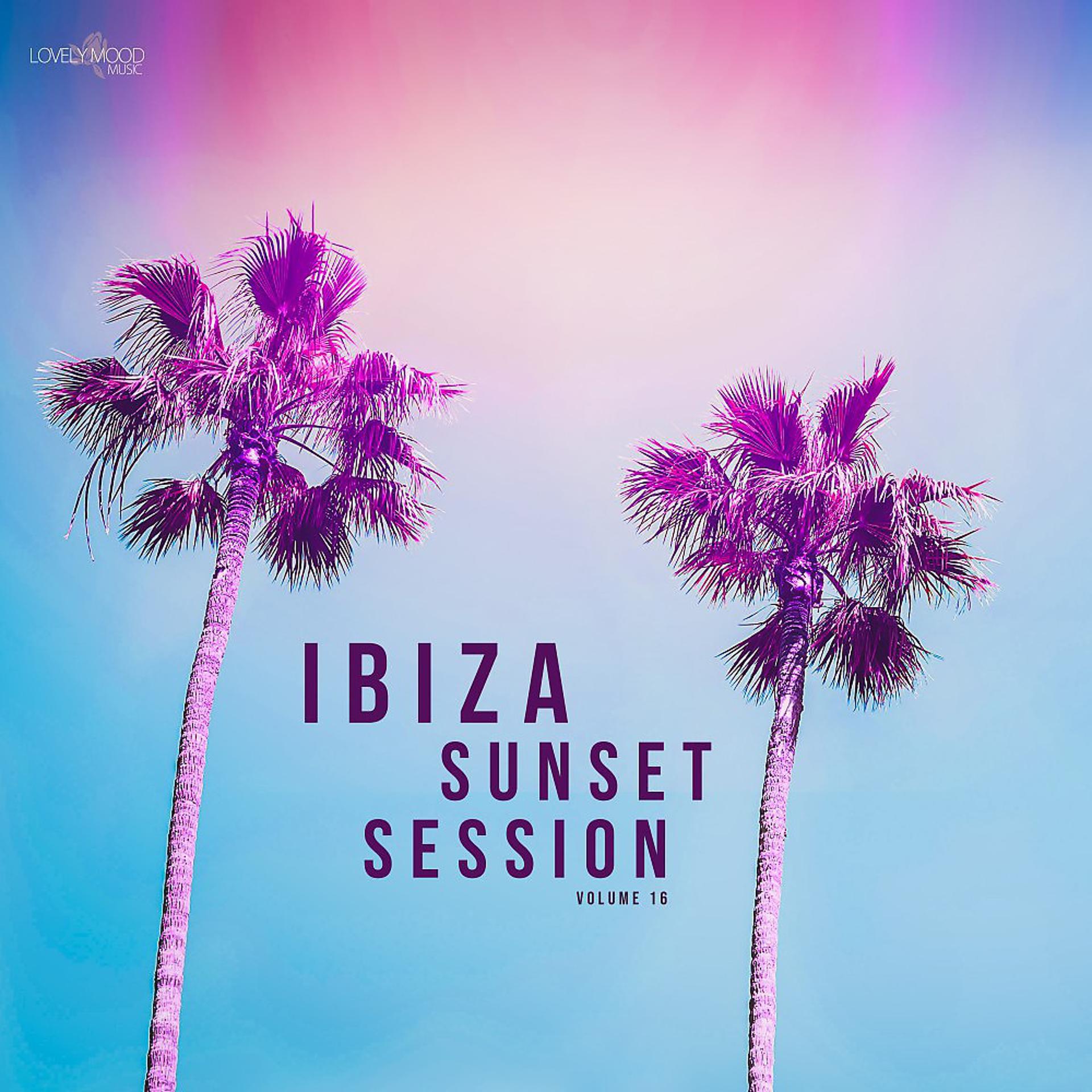 Постер альбома Ibiza Sunset Session, Vol. 16