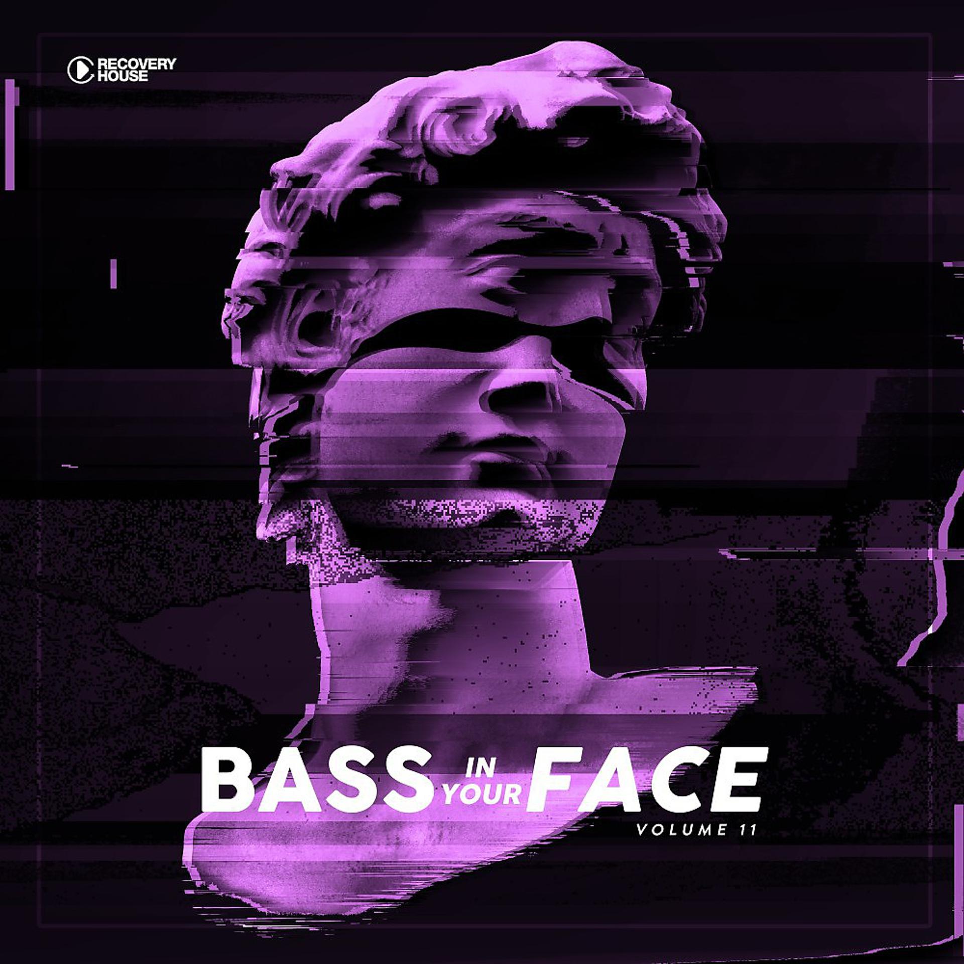 Постер альбома Bass in Your Face, Vol. 11