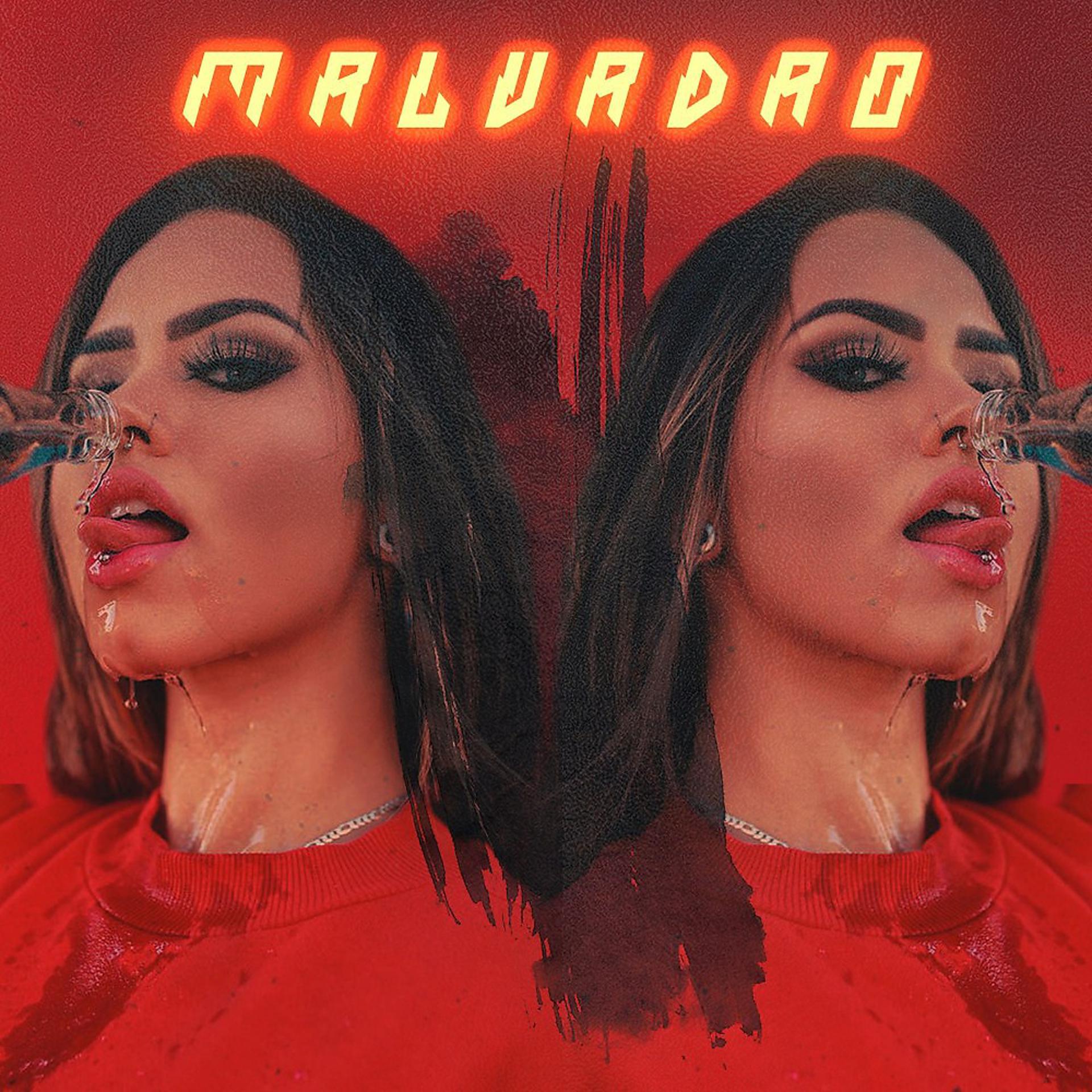 Постер альбома Malvadao