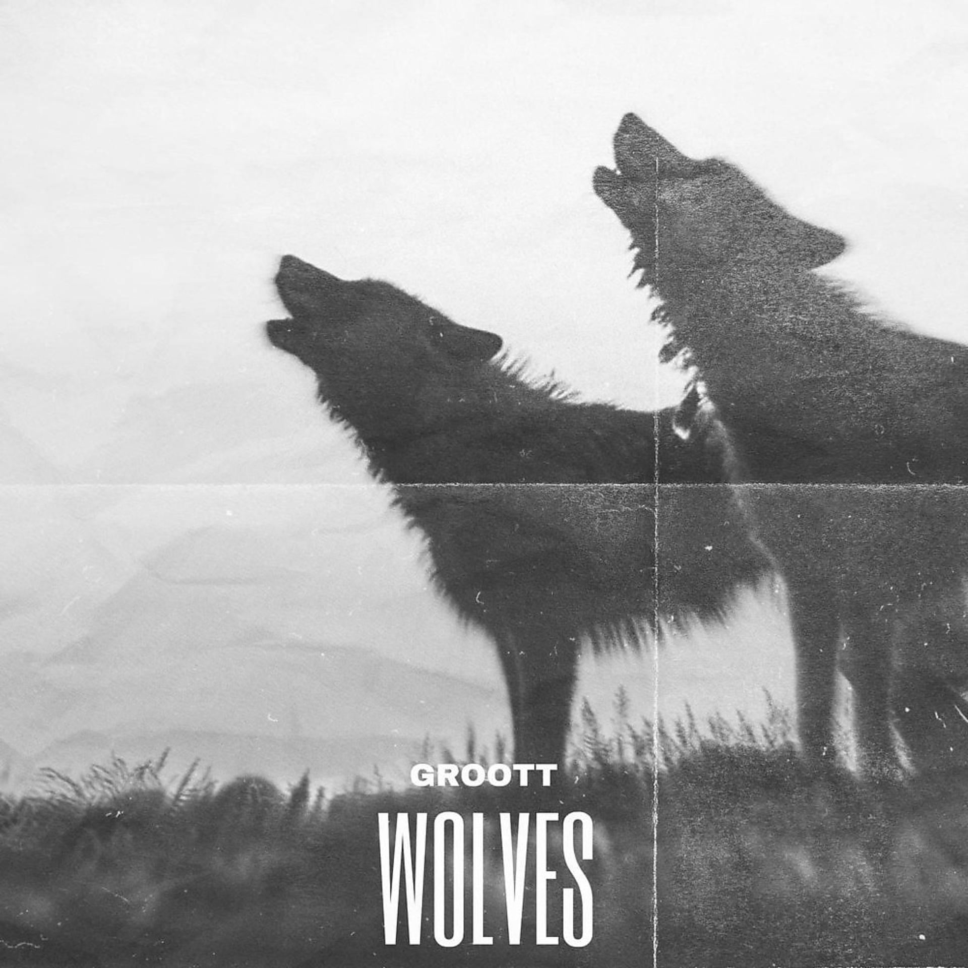 Постер альбома Wolves