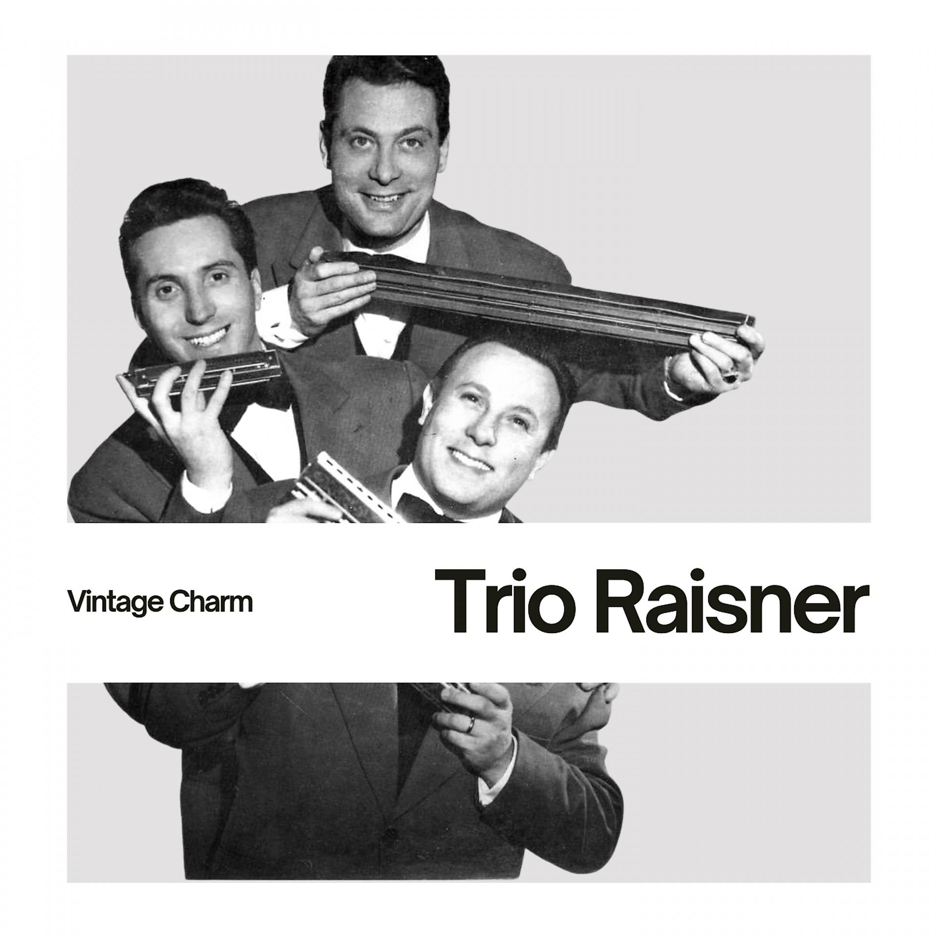 Постер альбома Trio Raisner