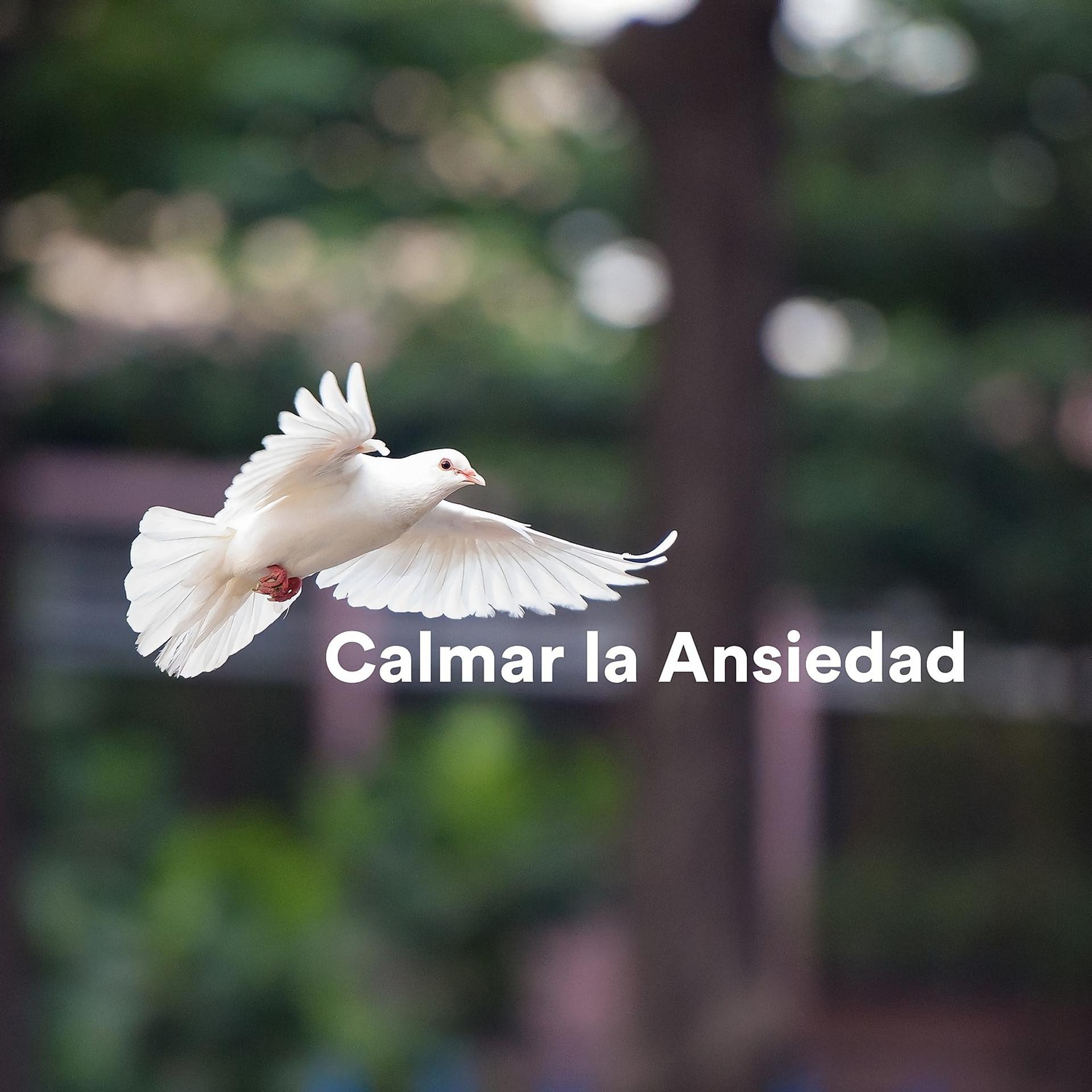 Постер альбома Calmar la Ansiedad
