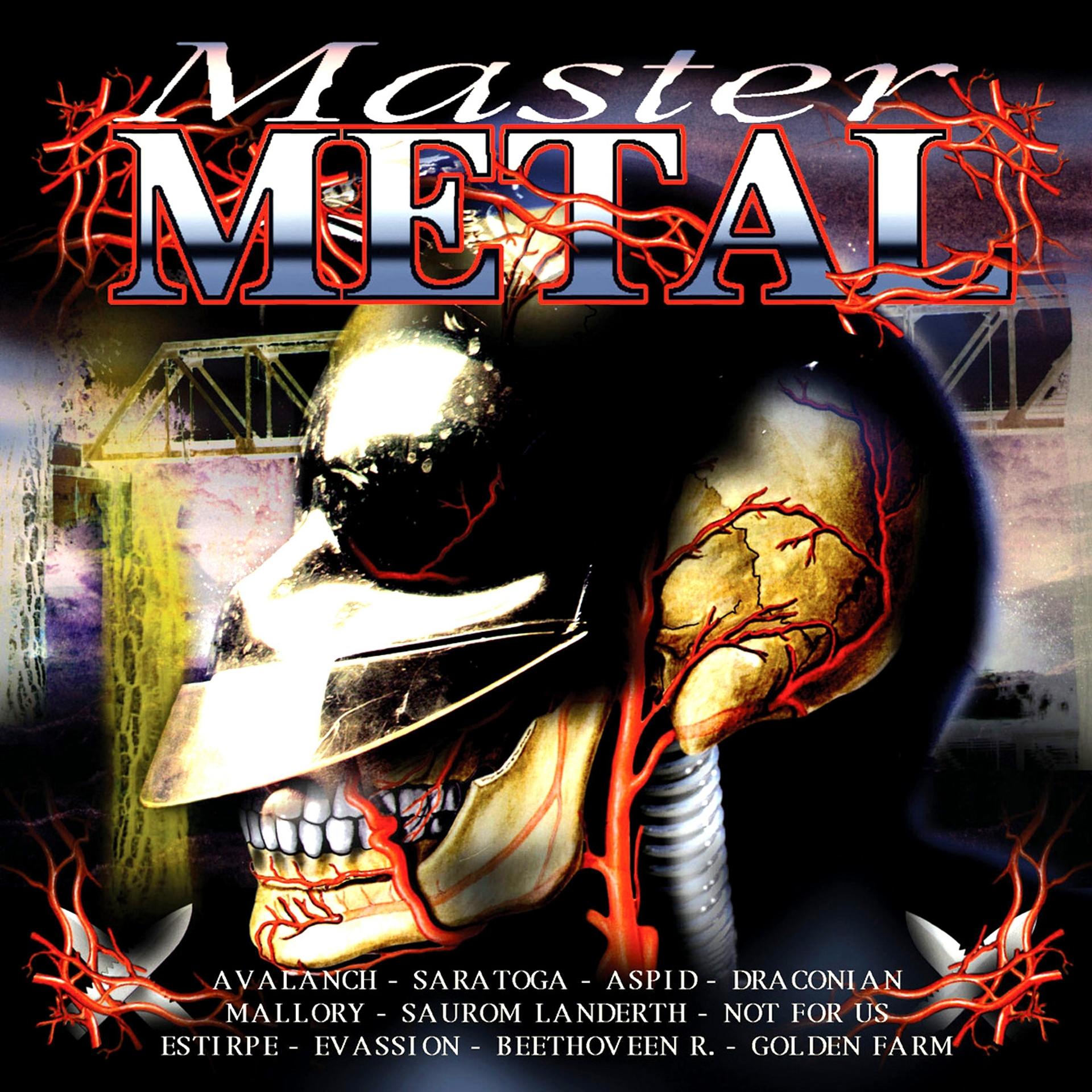 Постер альбома Master Metal