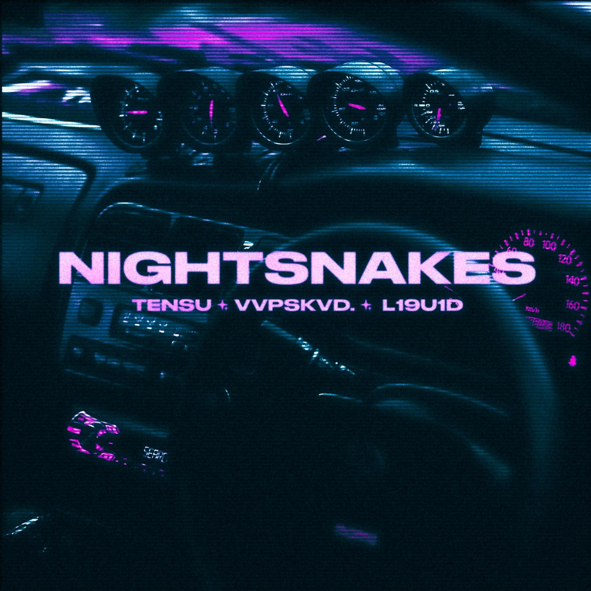 Постер альбома NIGHTSNAKES