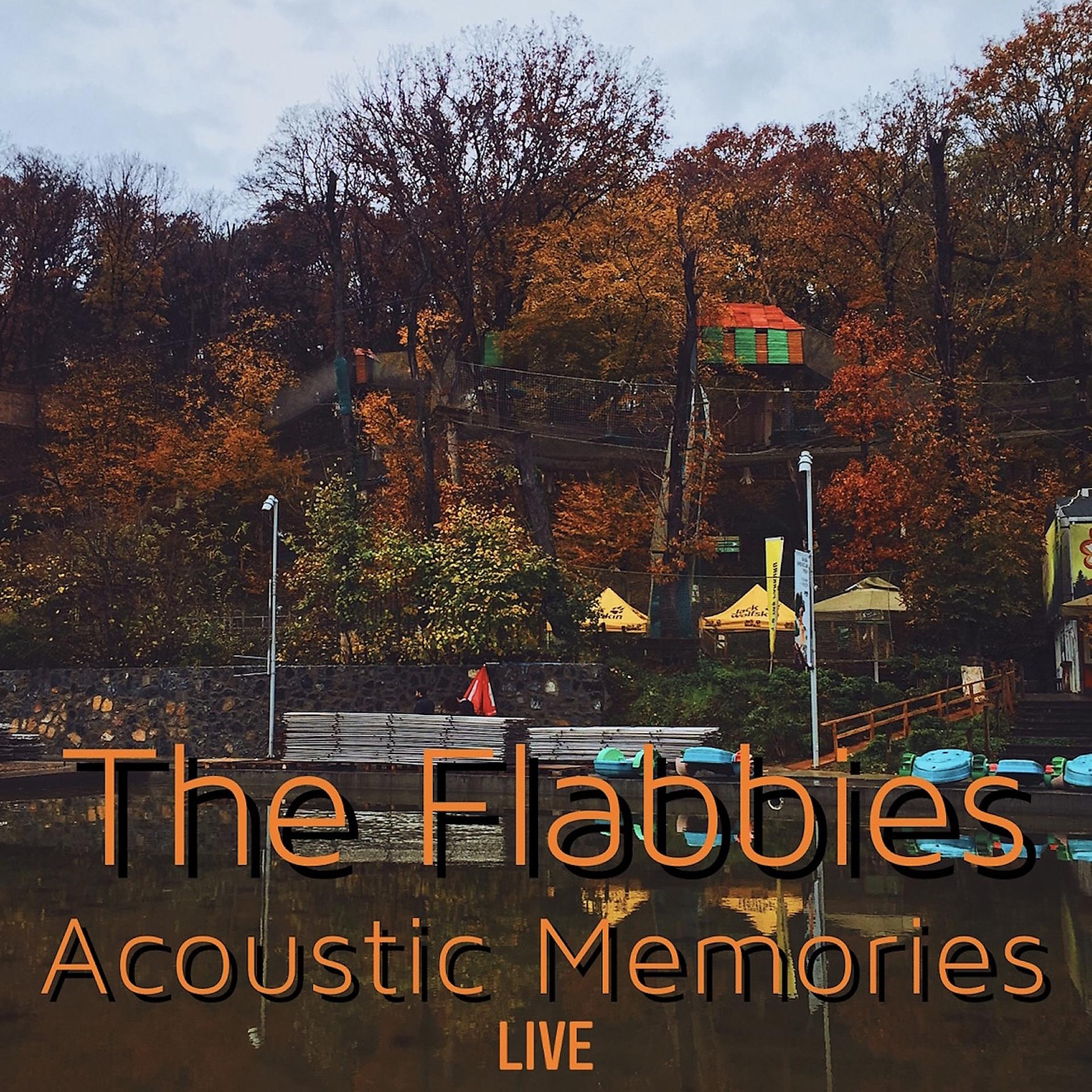 Постер альбома Acoustic Memories (Live)