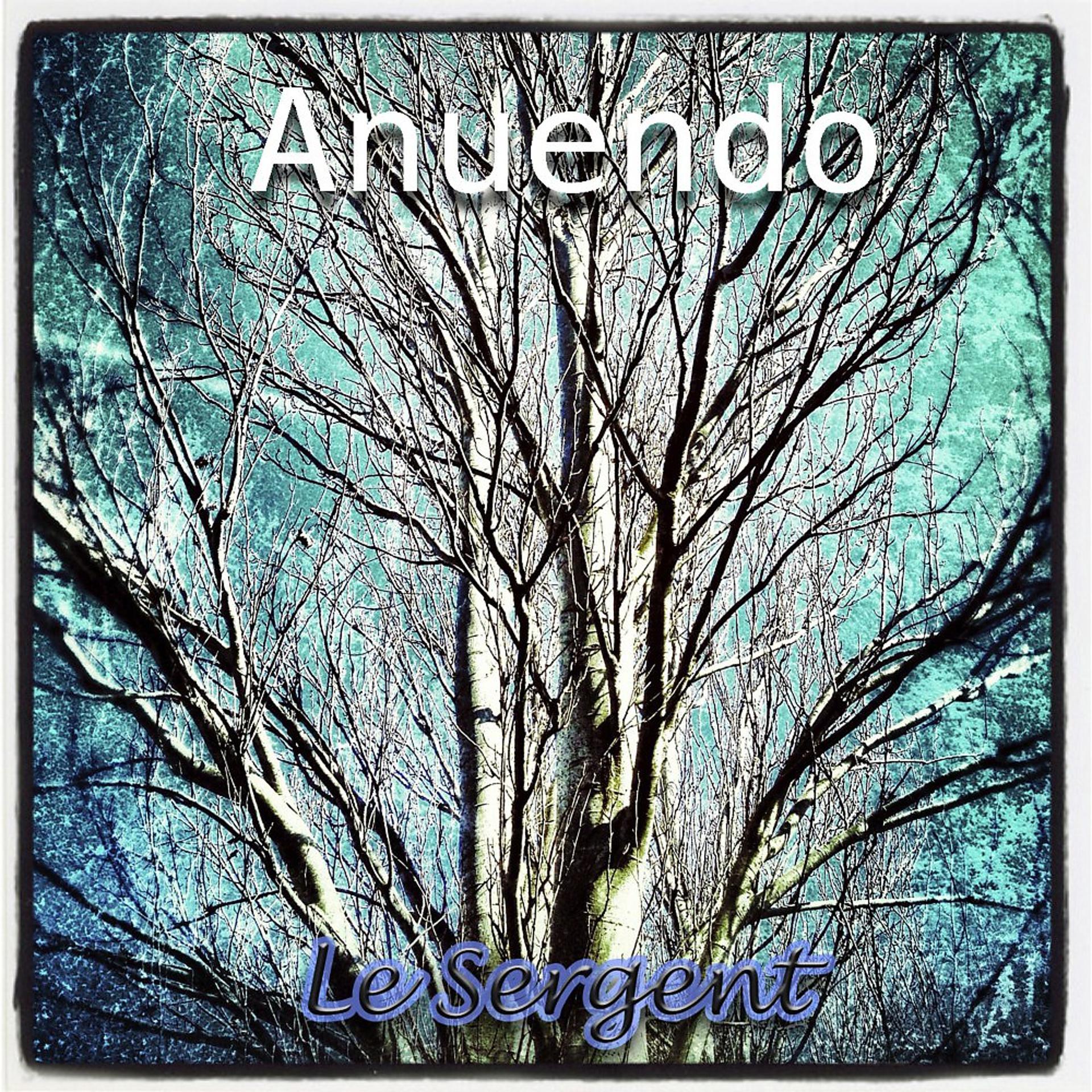 Постер альбома Anuendo