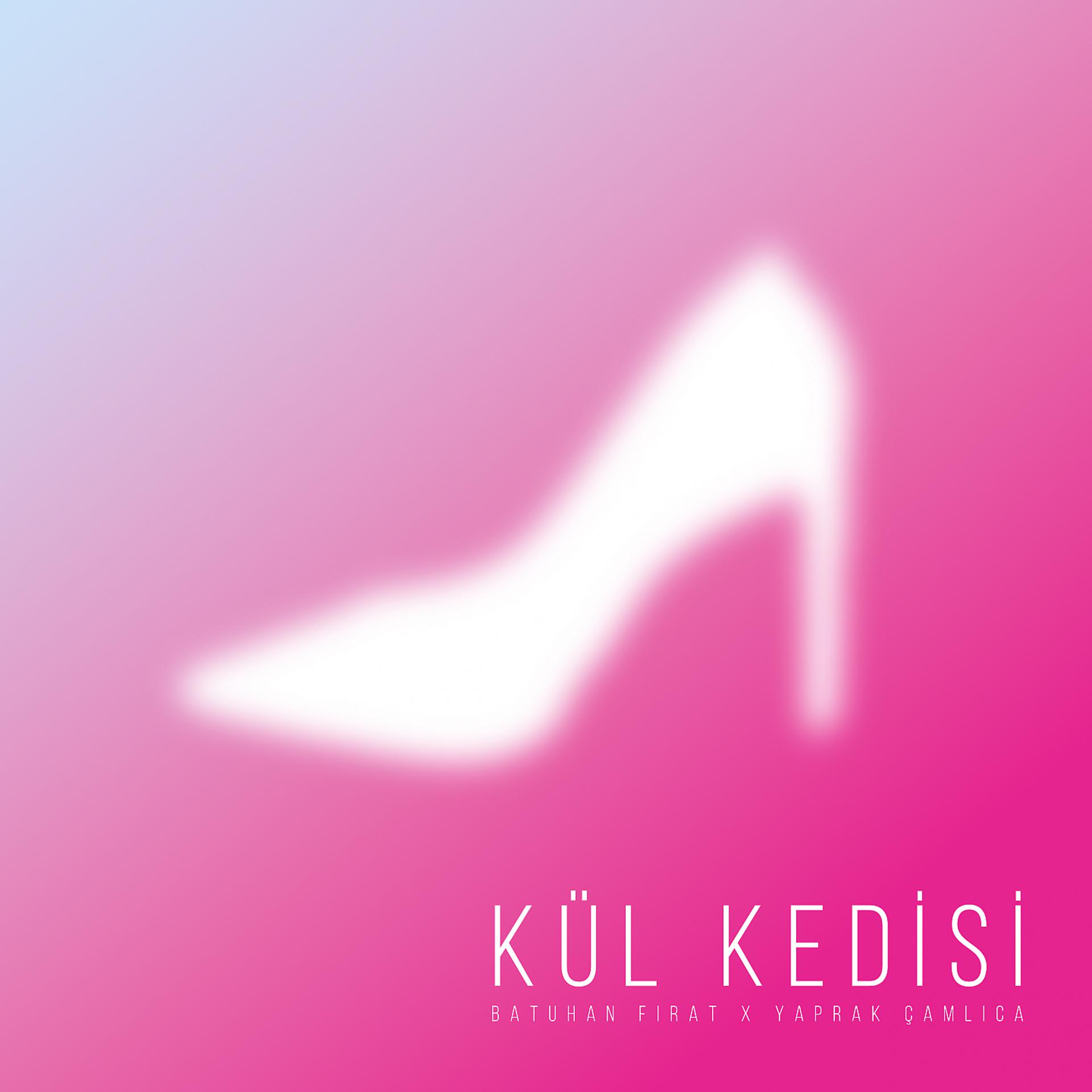 Постер альбома Kül Kedisi