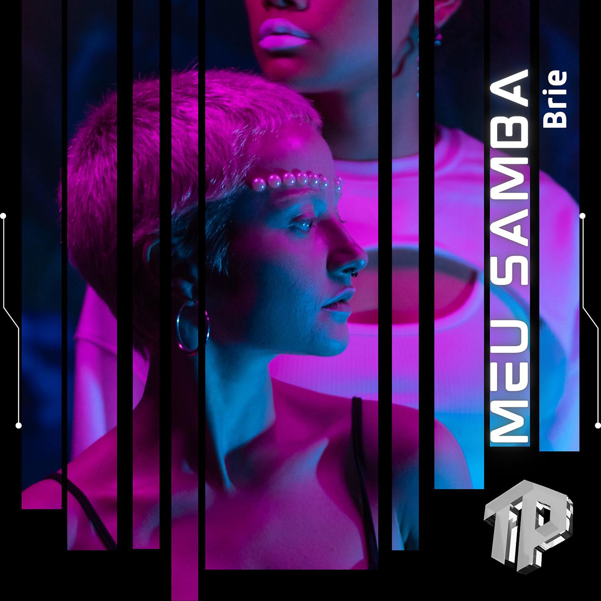 Постер альбома Meu Samba