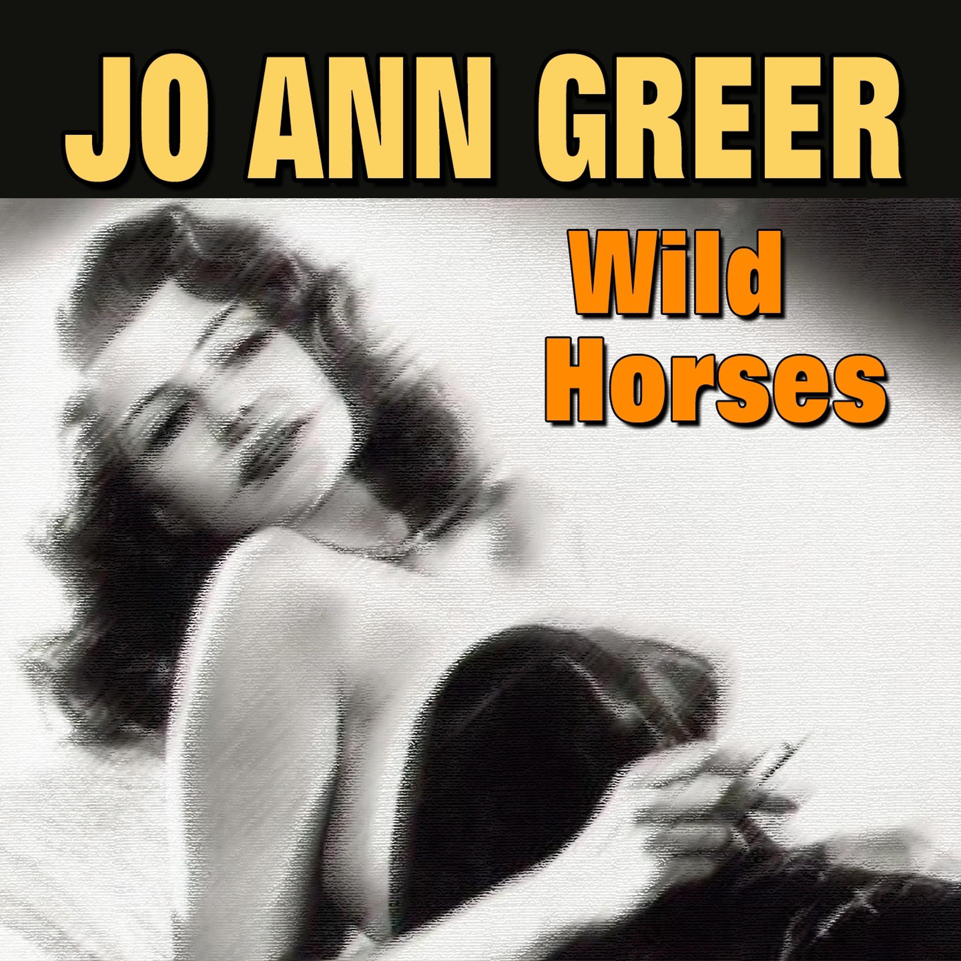 Постер альбома Wild Horses (28 Hits and Rare Songs)