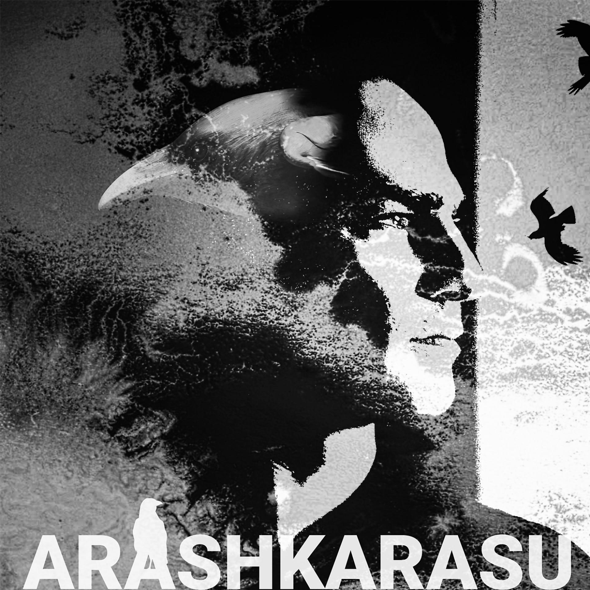 Постер альбома Arashkarasu