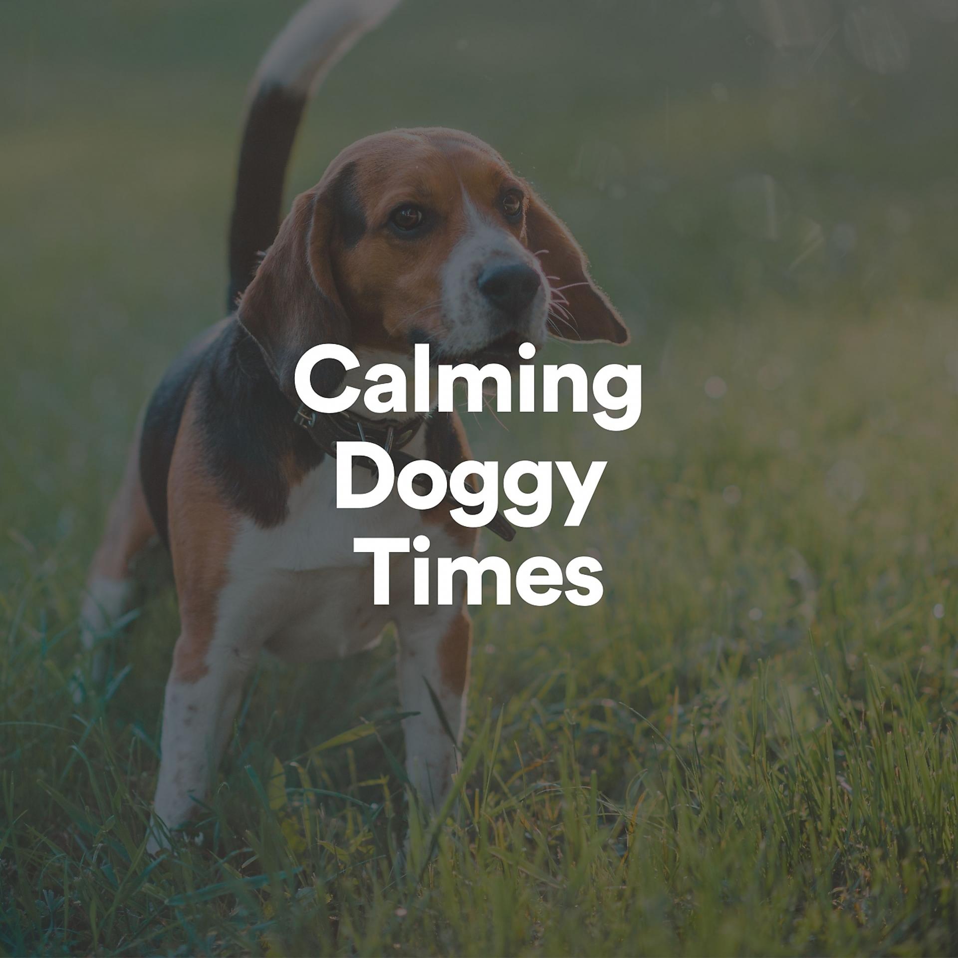 Постер альбома Calming Doggy Times