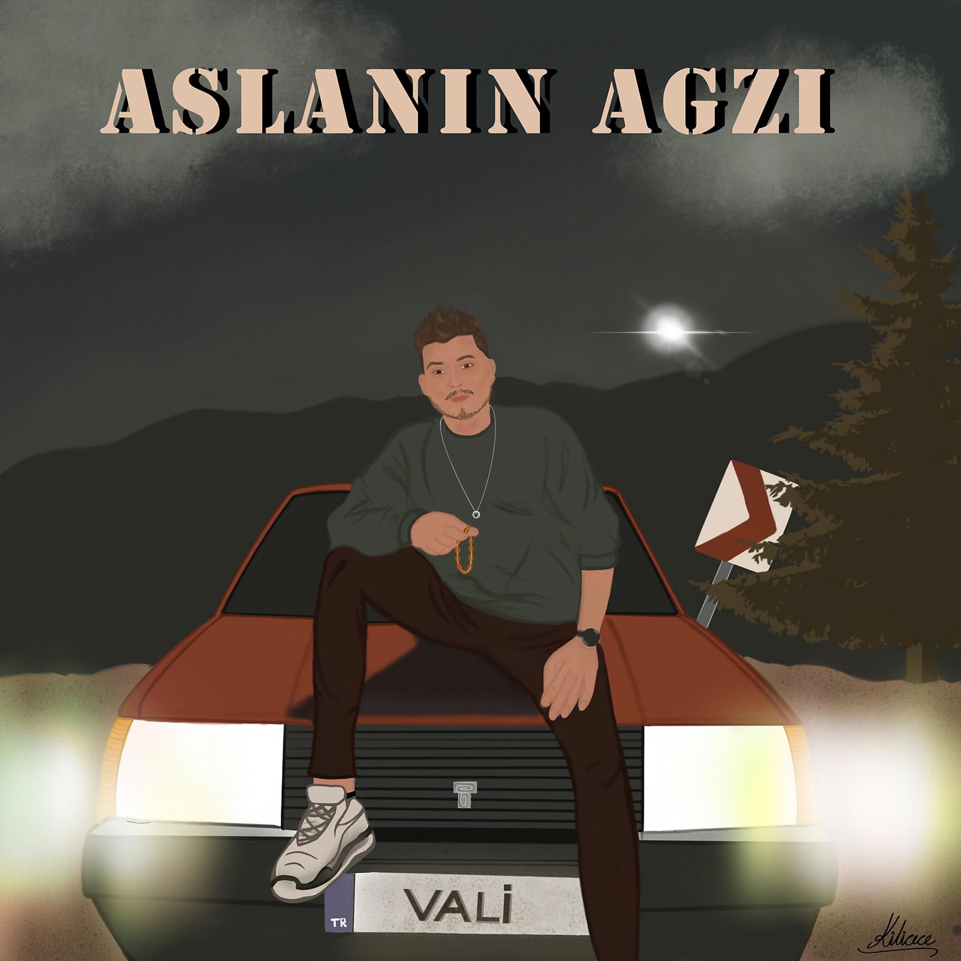 Постер альбома Aslanın Ağzı