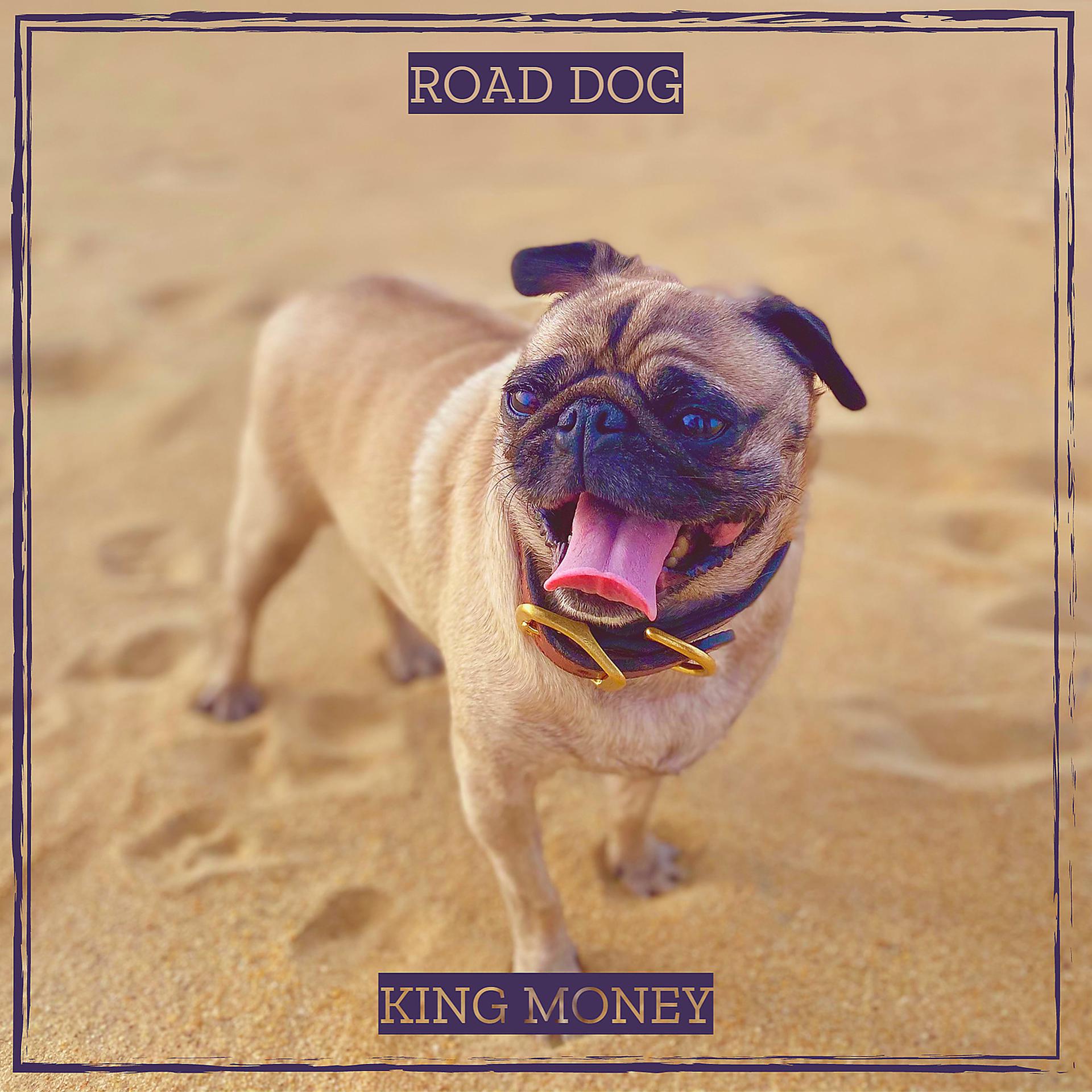 Постер альбома Road Dog