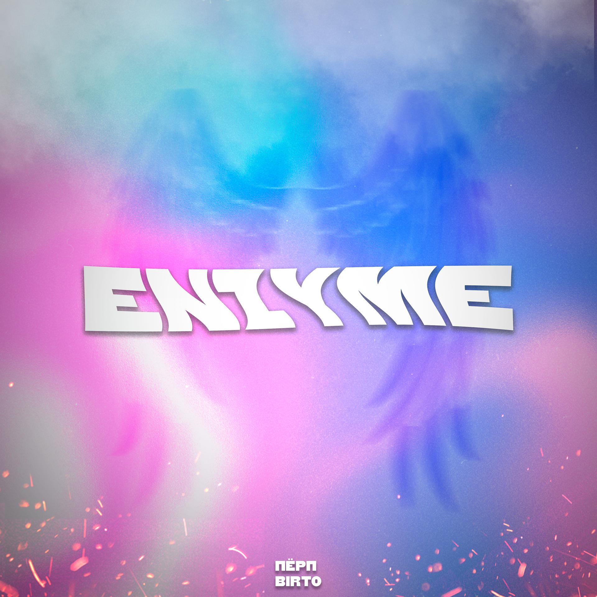 Постер альбома Enzyme