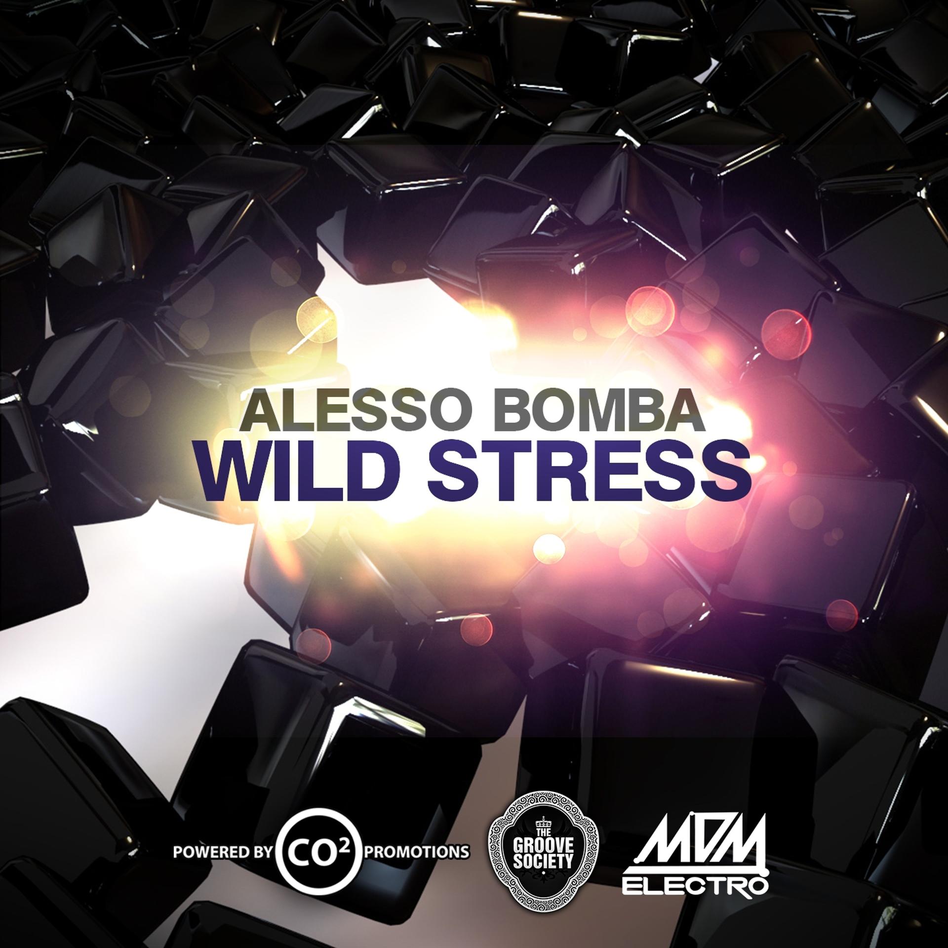 Постер альбома Wild Stress