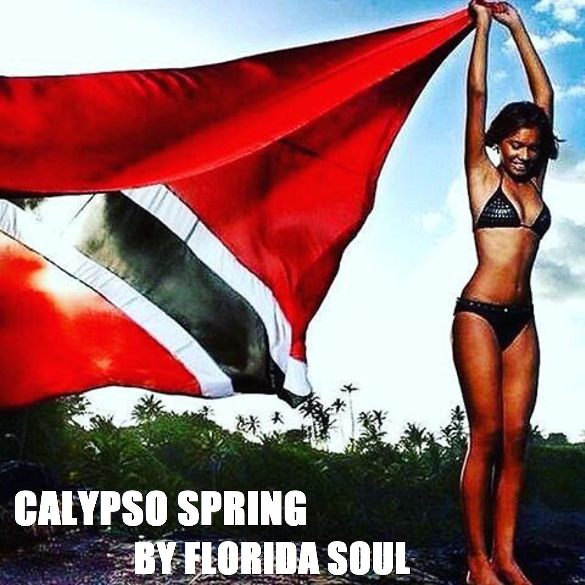 Постер альбома Calypso Spring
