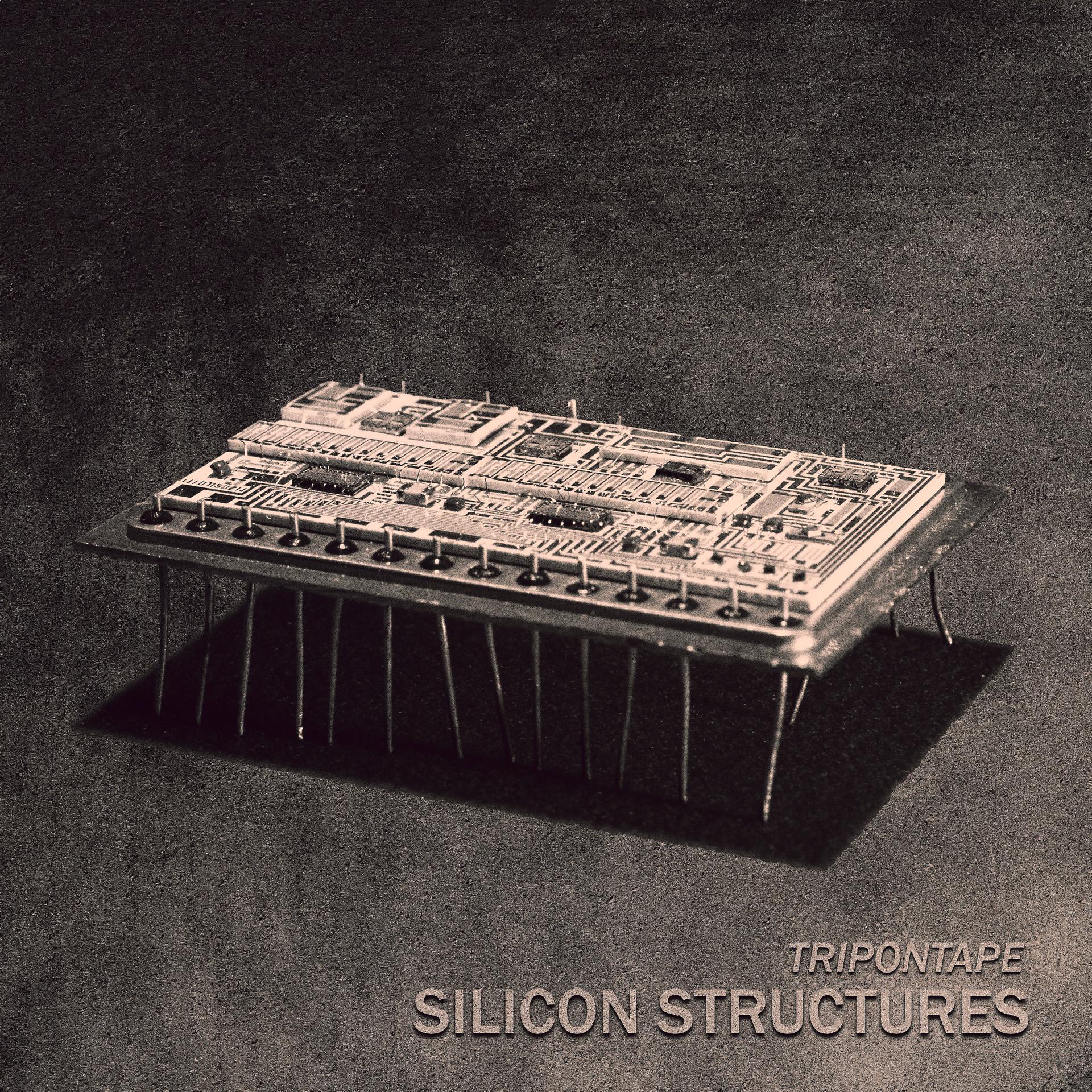 Постер альбома Silicon Structures