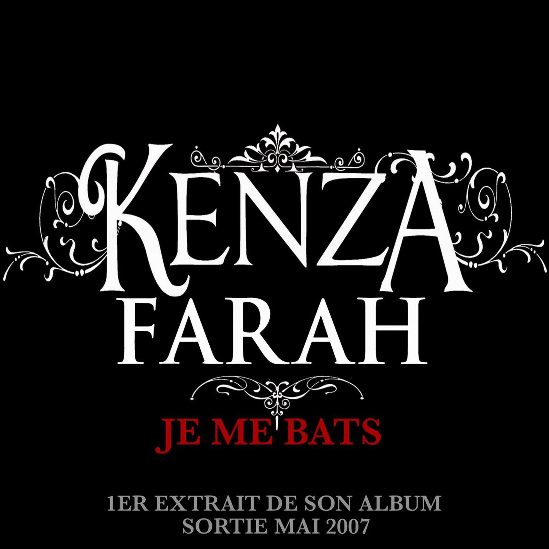 Постер альбома Je Me Bats (Single Digital ok)
