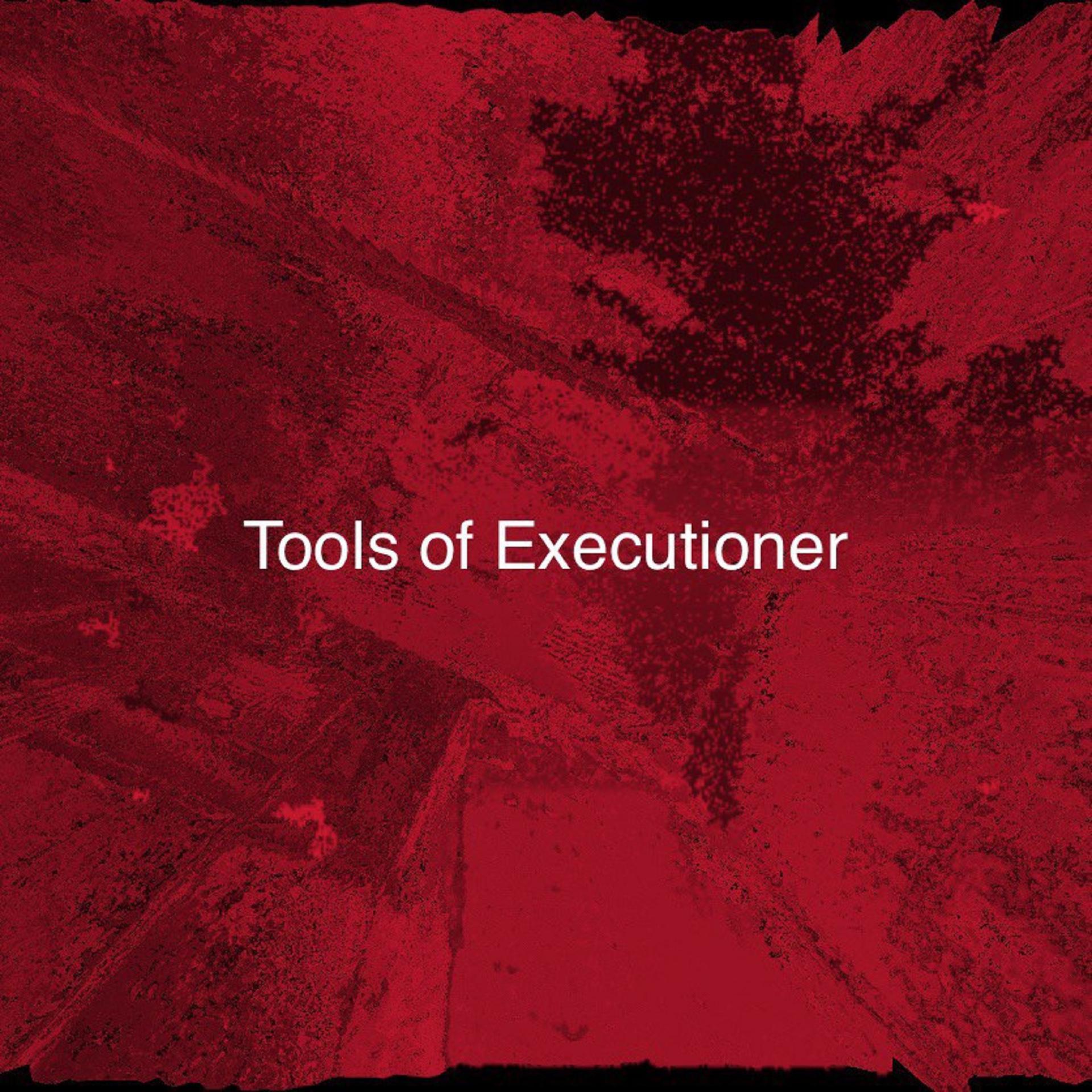 Постер альбома Tools of Executioner