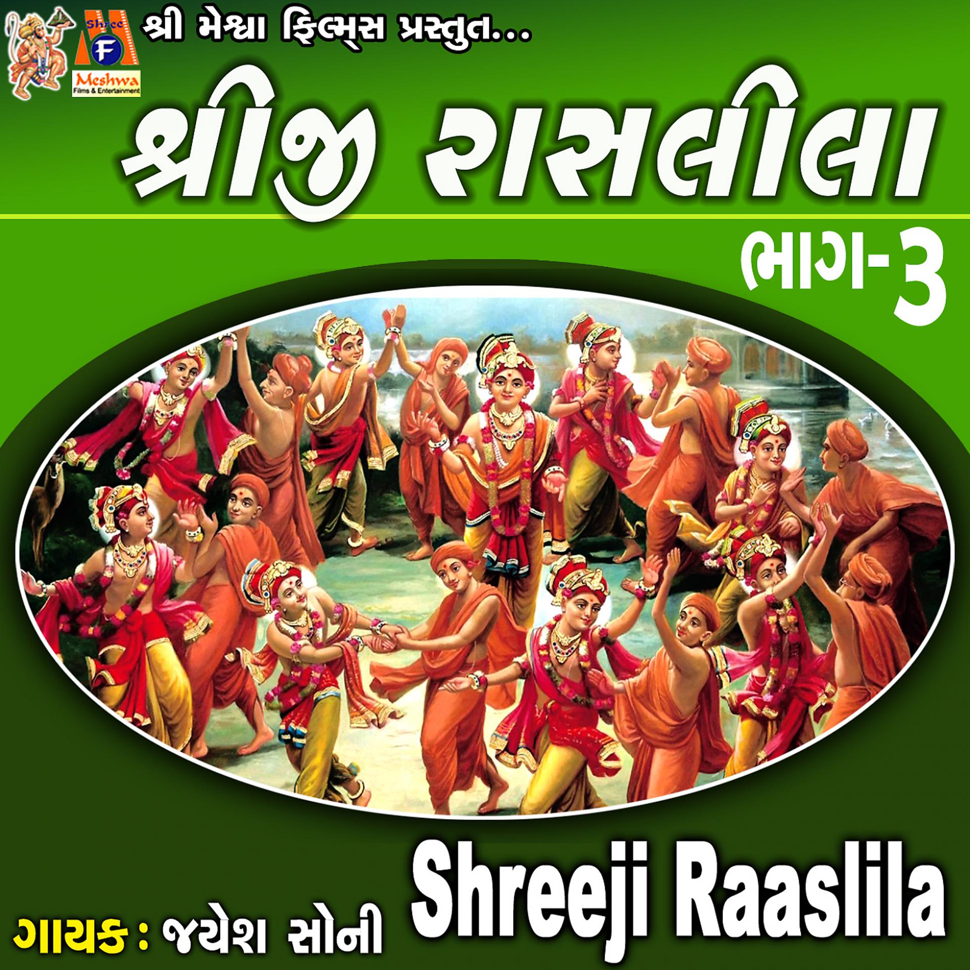Постер альбома Shreeji Raaslila, Pt. 3