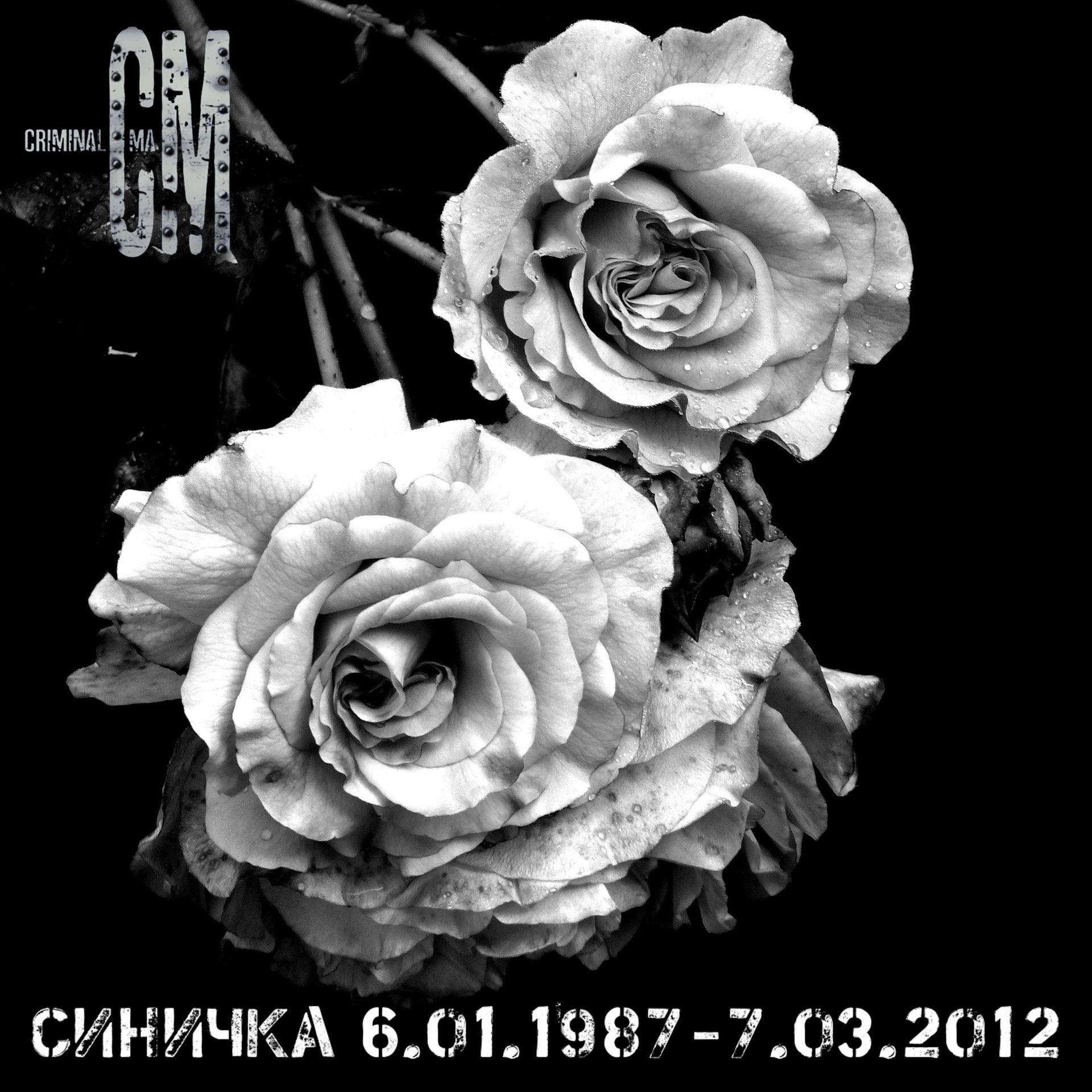 Постер альбома Синичка 6.01.1987-7.03.2012