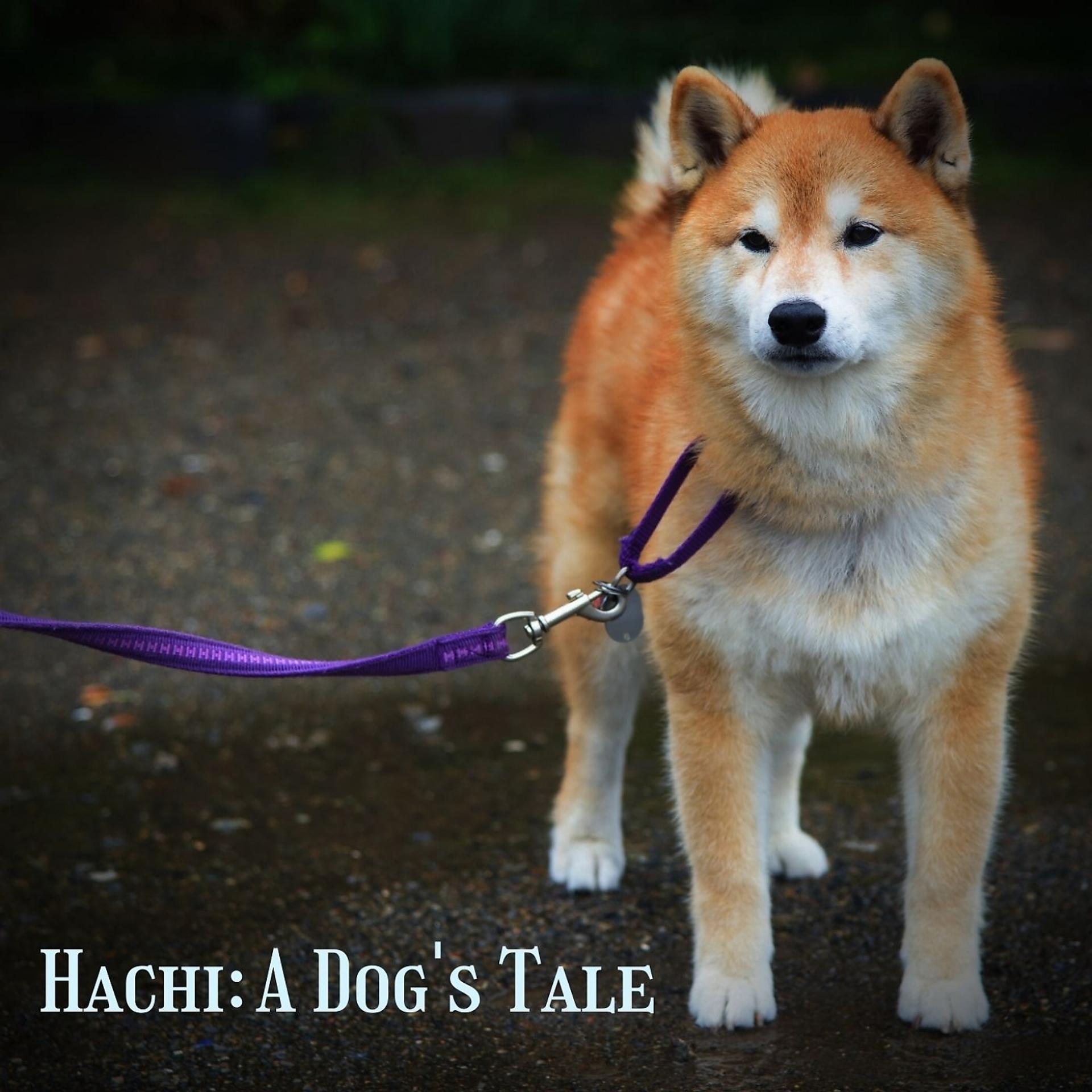 Постер альбома Hachi: A Dog's Tale