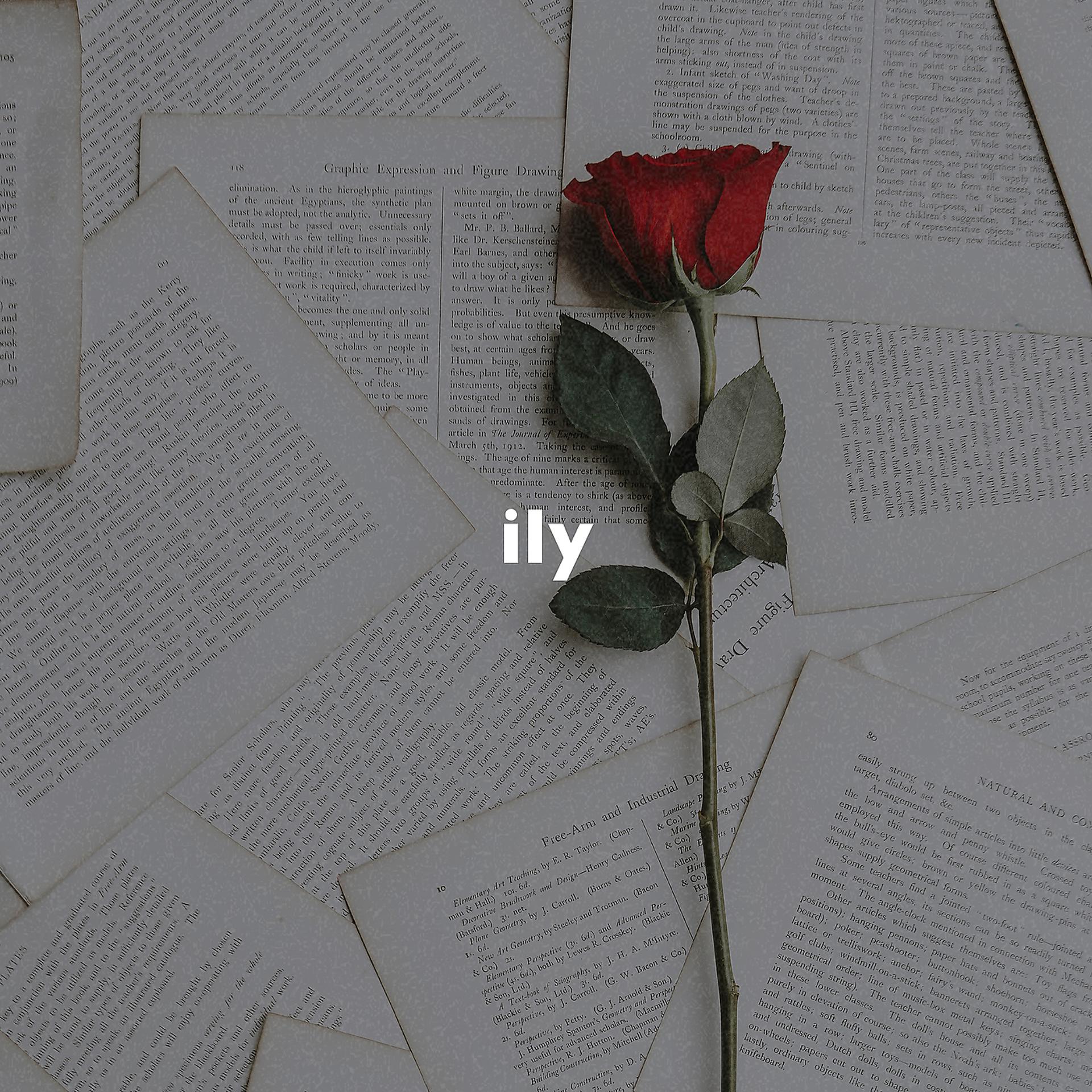 Постер альбома Ily (I Love You Baby, Slowed + Reverb)