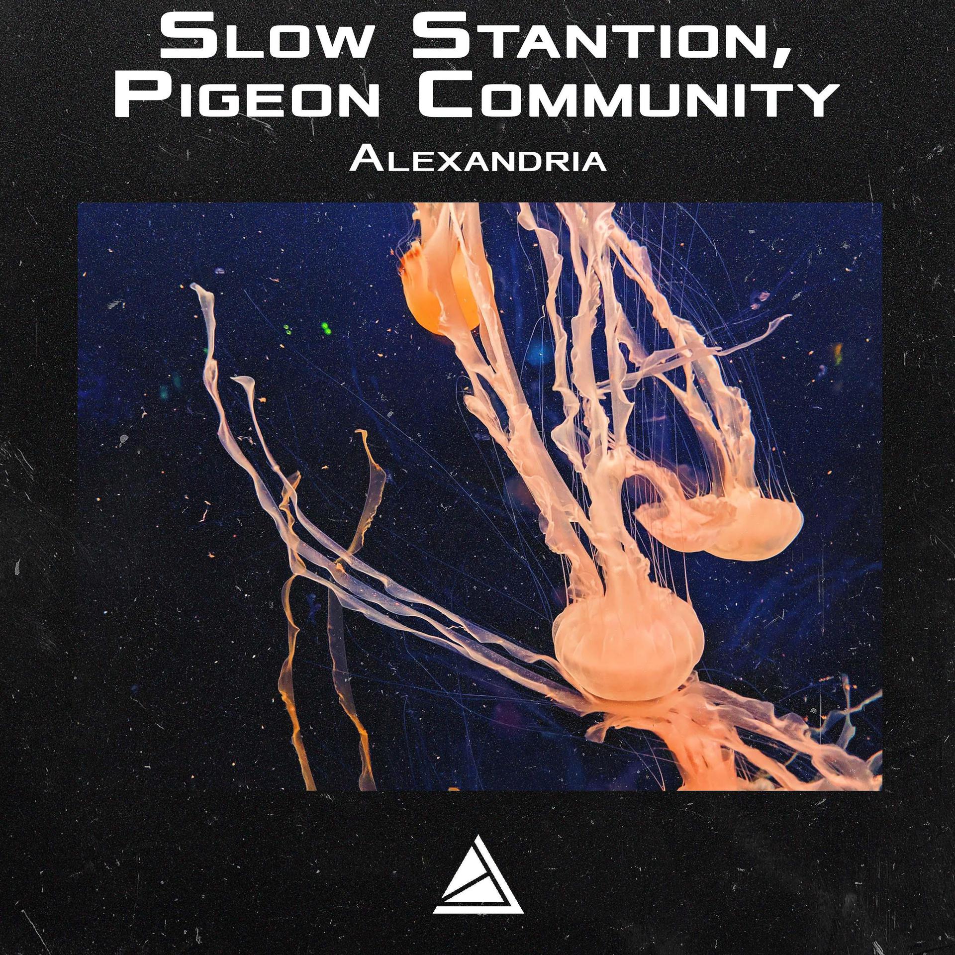 Постер к треку Slow Stantion, Pigeon Community - Alexandria