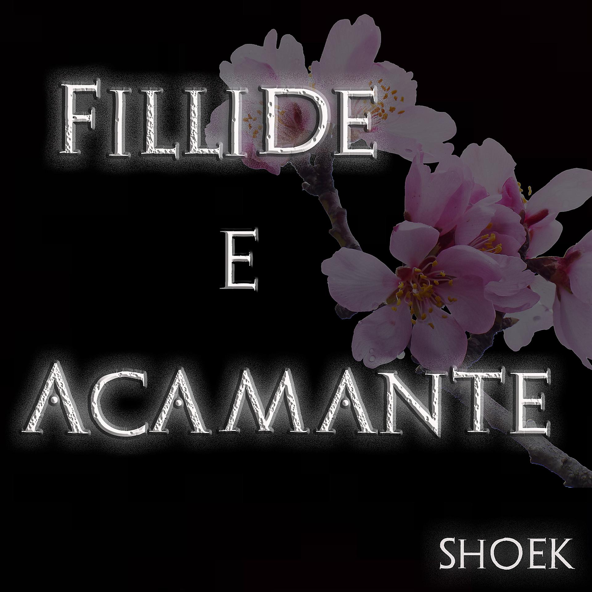 Постер альбома Fillide e Acamante
