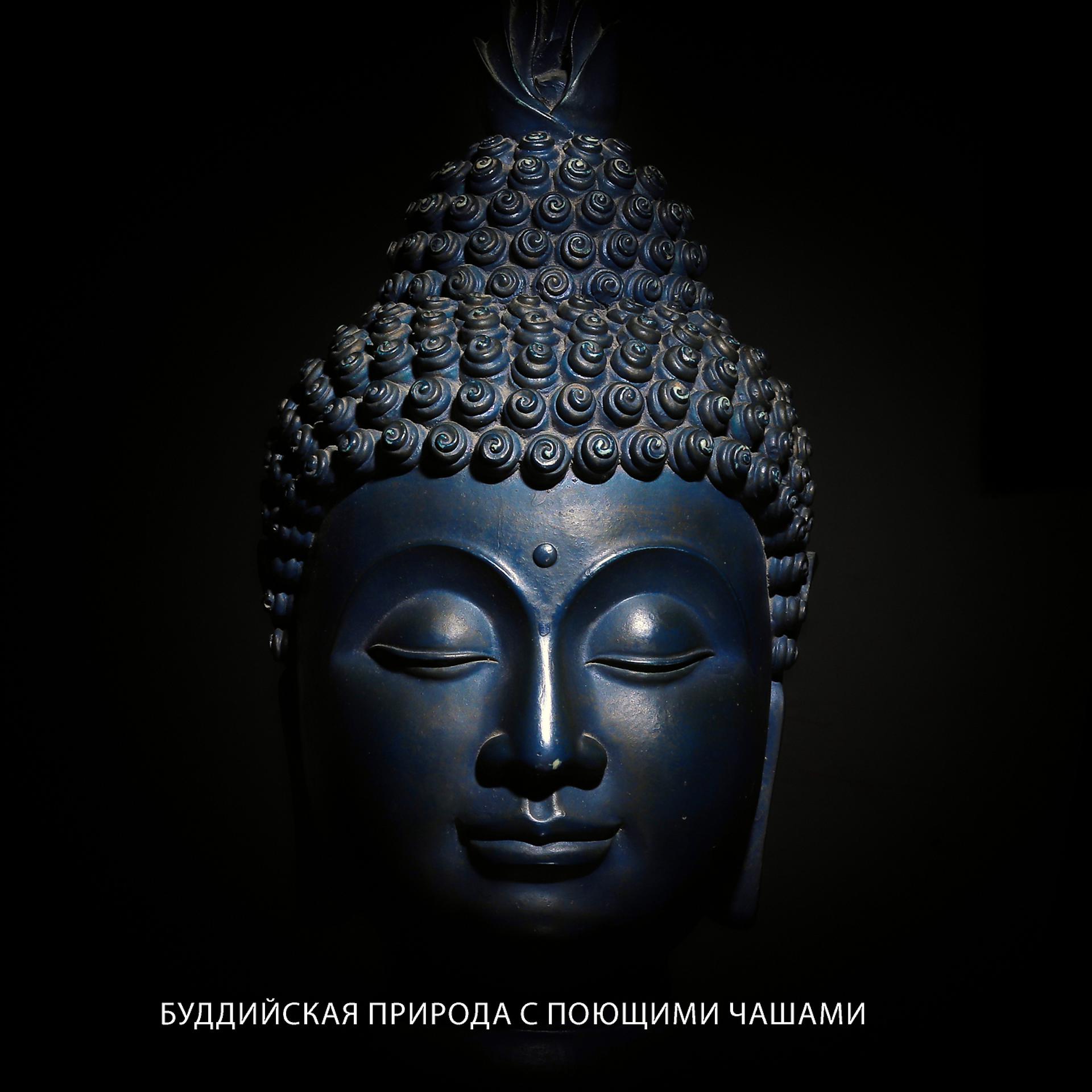 Постер альбома Буддийская природа с поющими чашами: Расслабляющая дзен-музыка для медитации и душевного спокойствия
