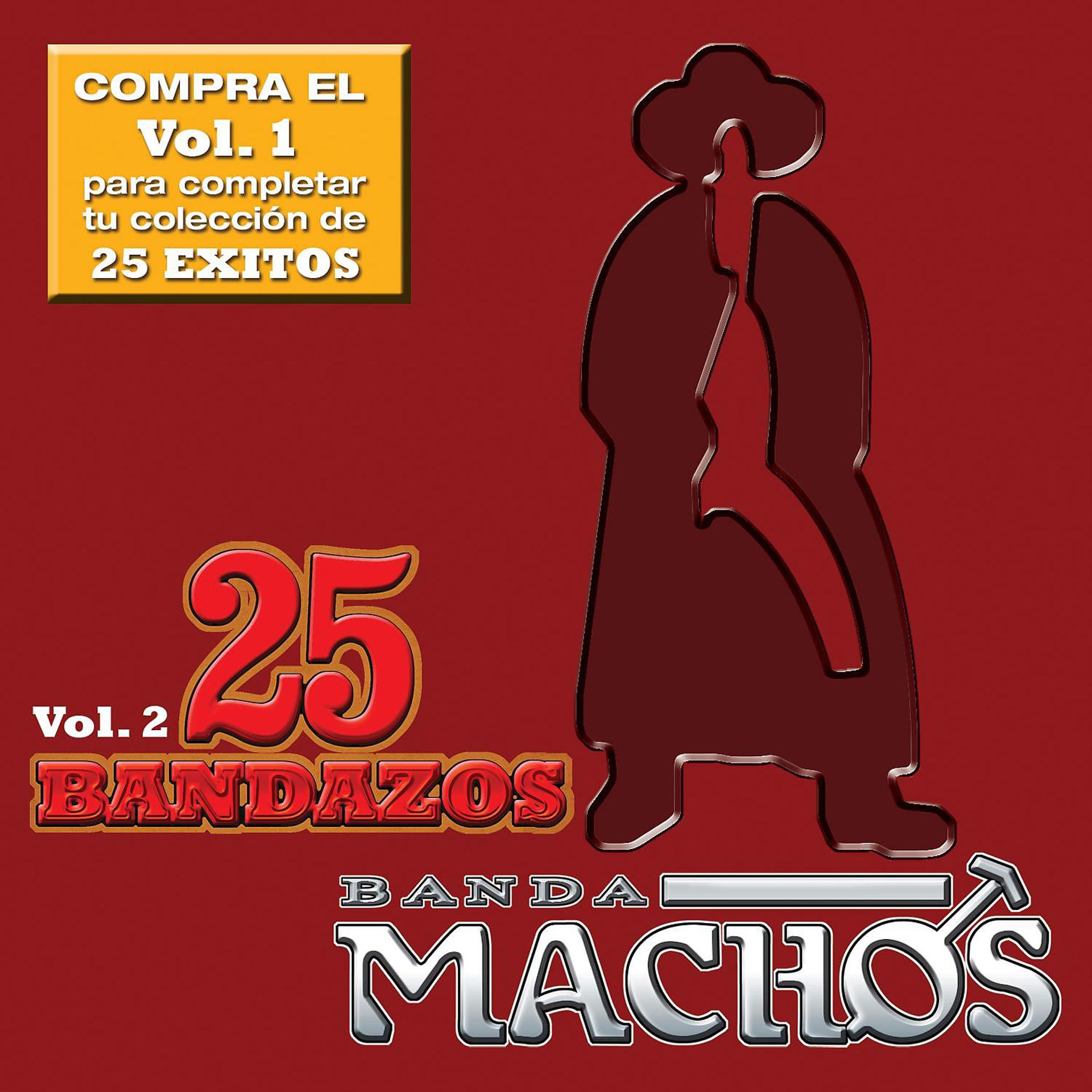 Постер альбома 25 Bandazos de Machos (Vol. 2) (USA)