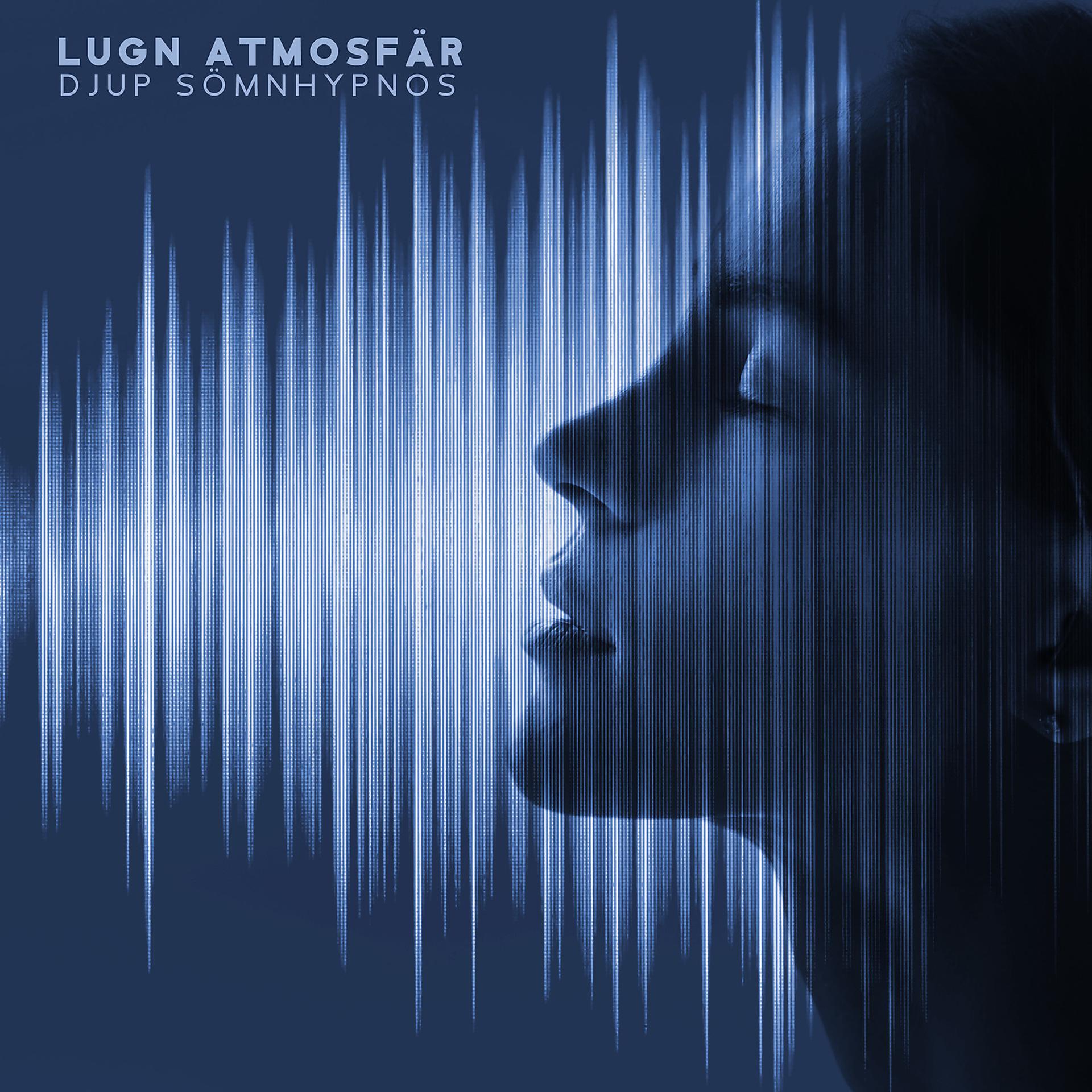 Постер альбома Lugn atmosfär: Djup sömnhypnos