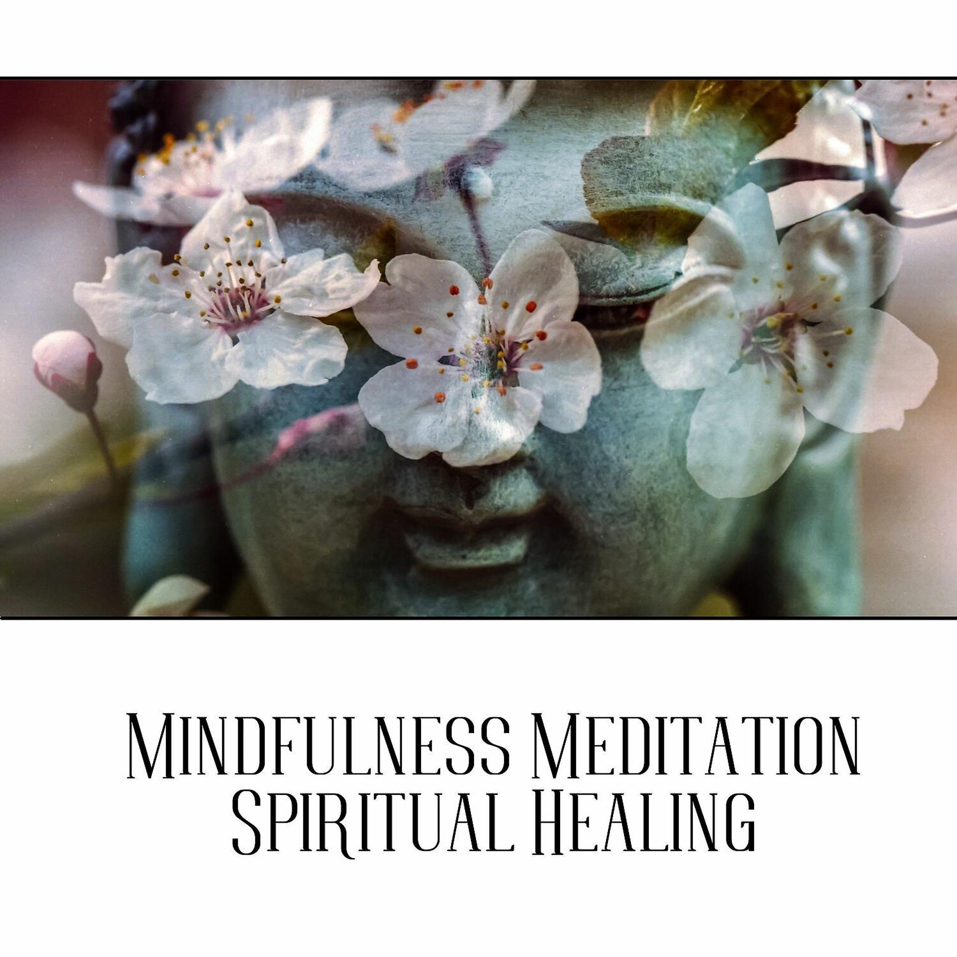 Постер альбома Mindfulness Meditation Spiritual Healing