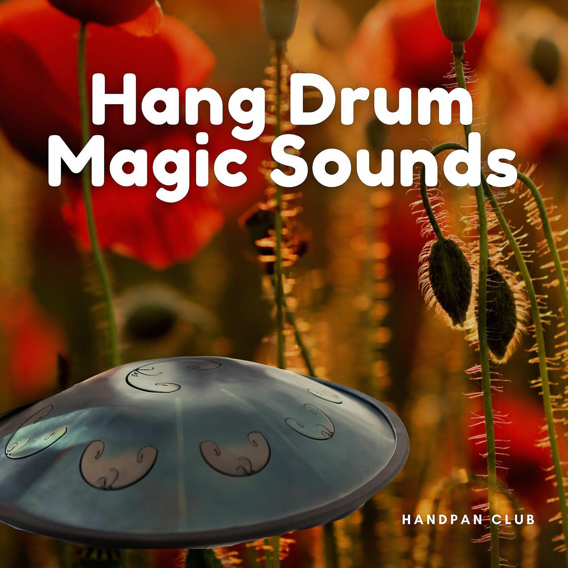 Постер альбома Hang Drum Magic Sounds