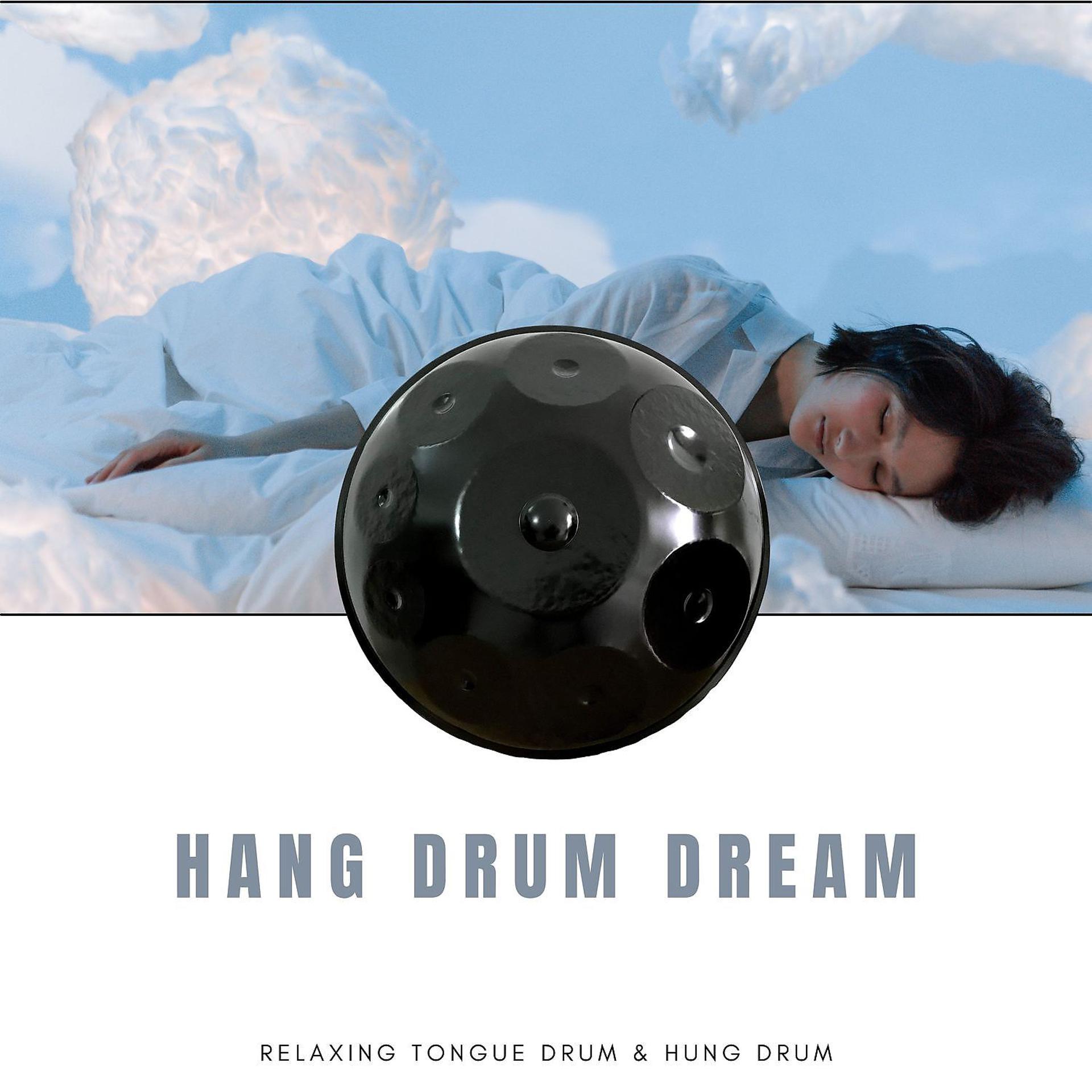 Постер альбома Hang Drum Dream