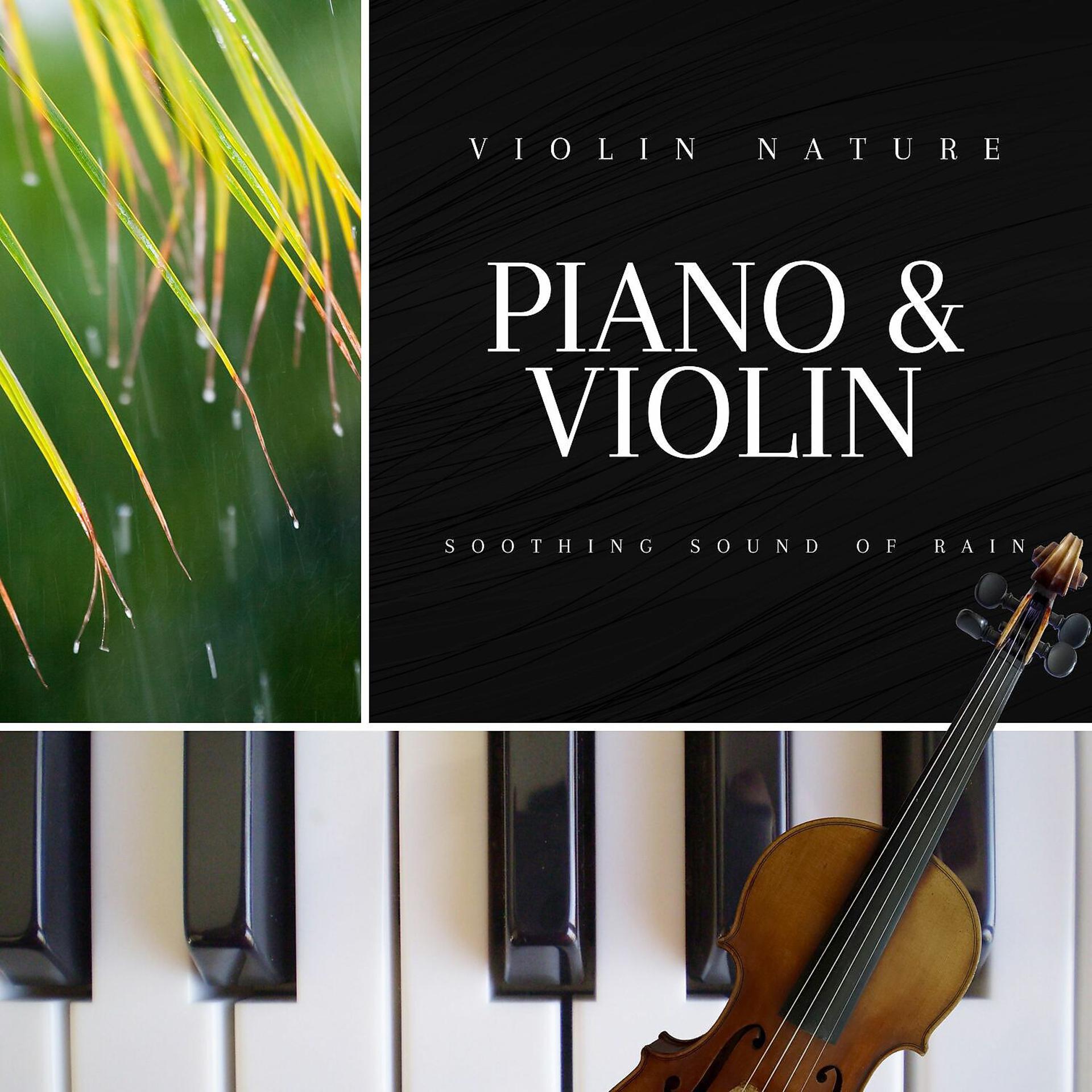 Постер альбома Piano & Violin Music with Soothing Sound of Rain