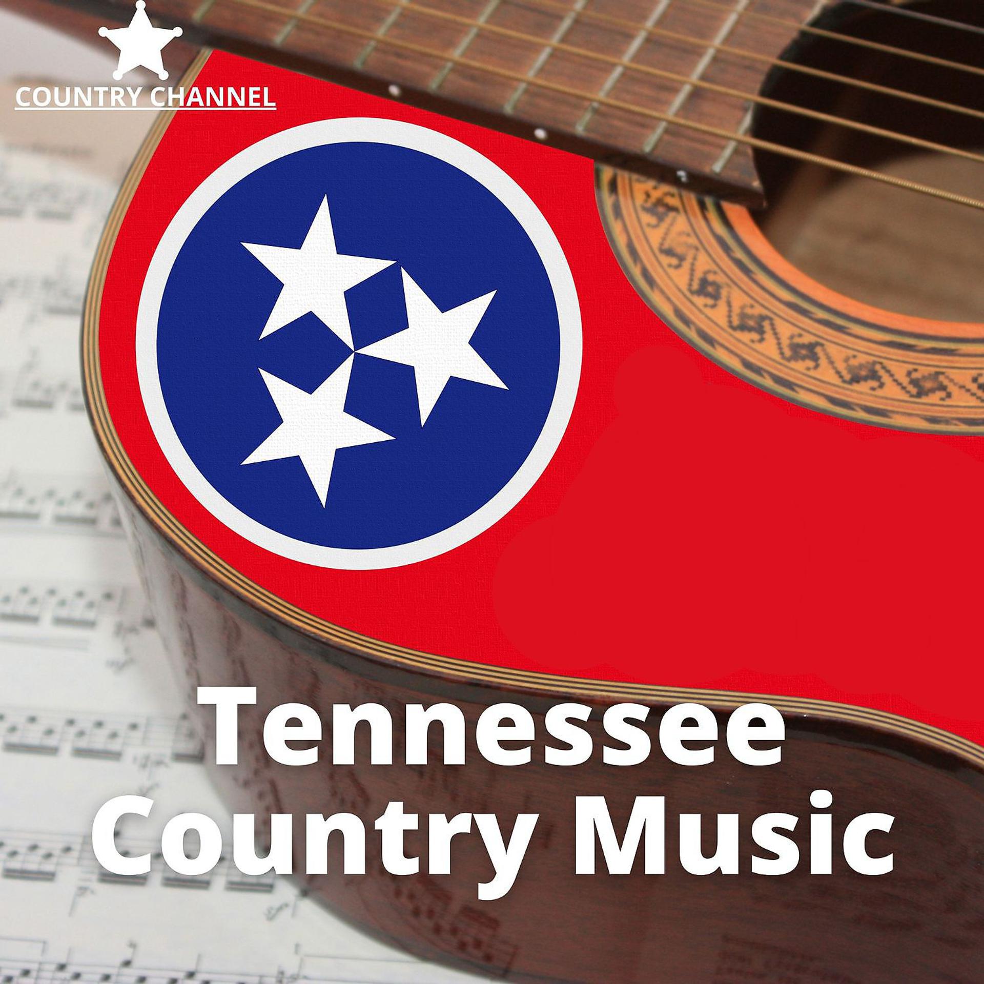 Постер альбома Tennessee Instrumental Country Music