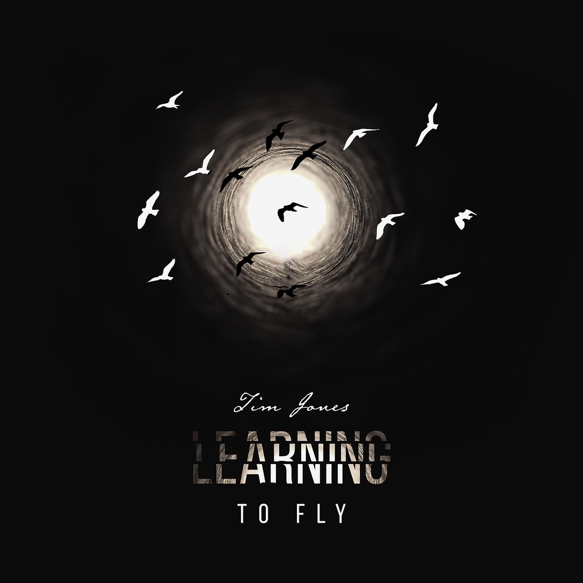 Постер альбома Learning to Fly