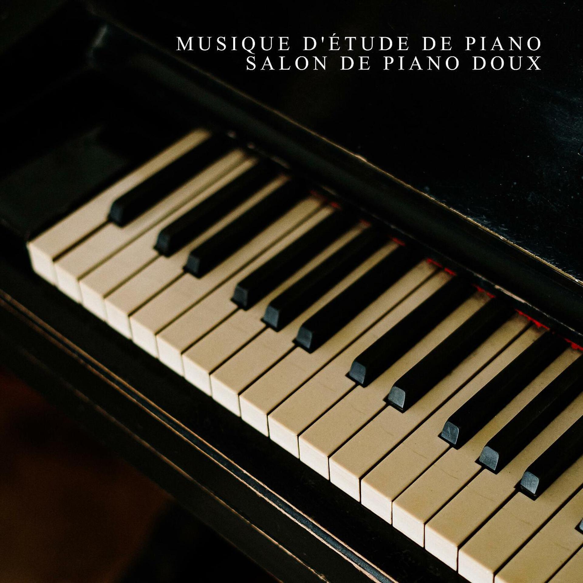 Постер альбома Musique d'étude de piano. Salon de piano doux