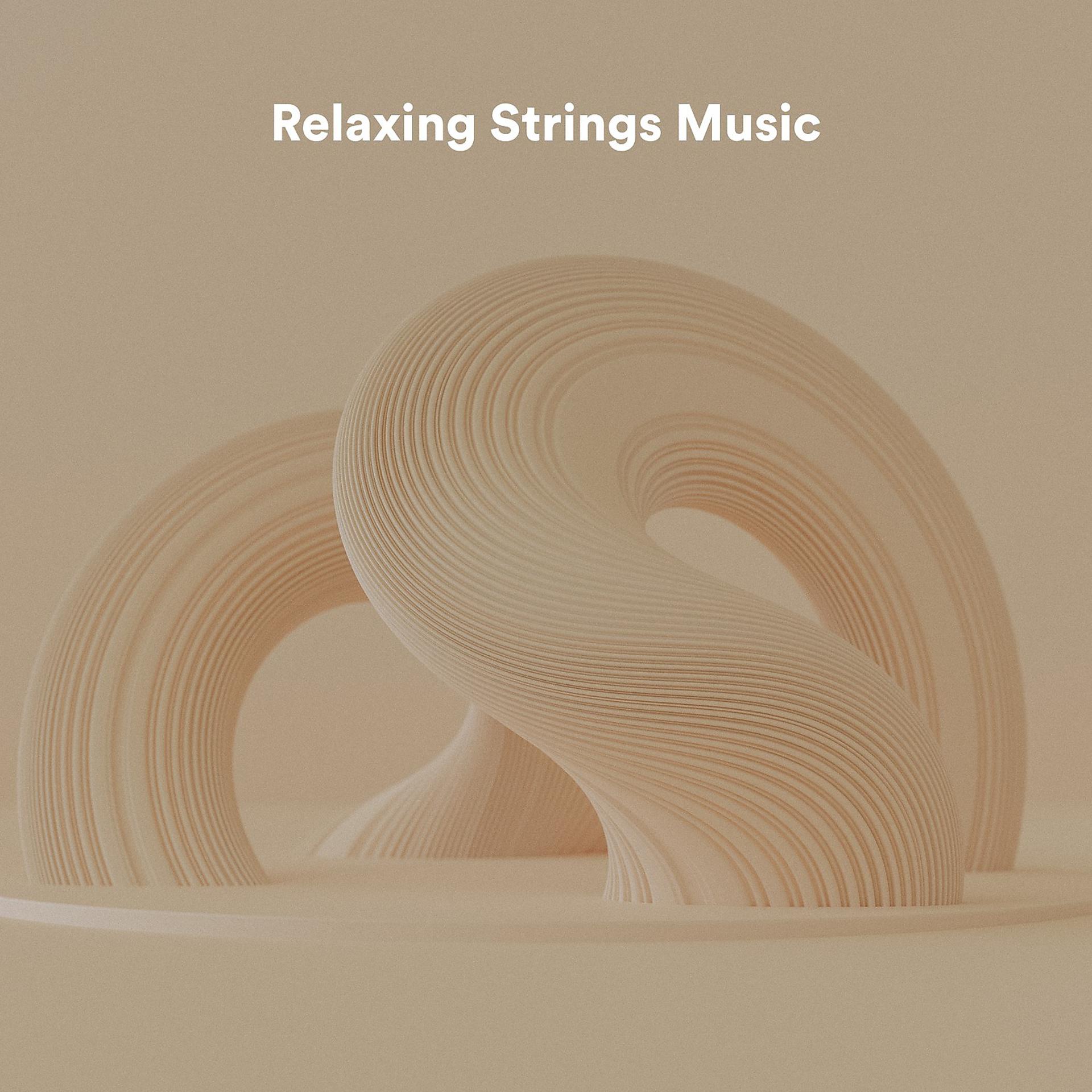 Постер альбома Relaxing Strings Music