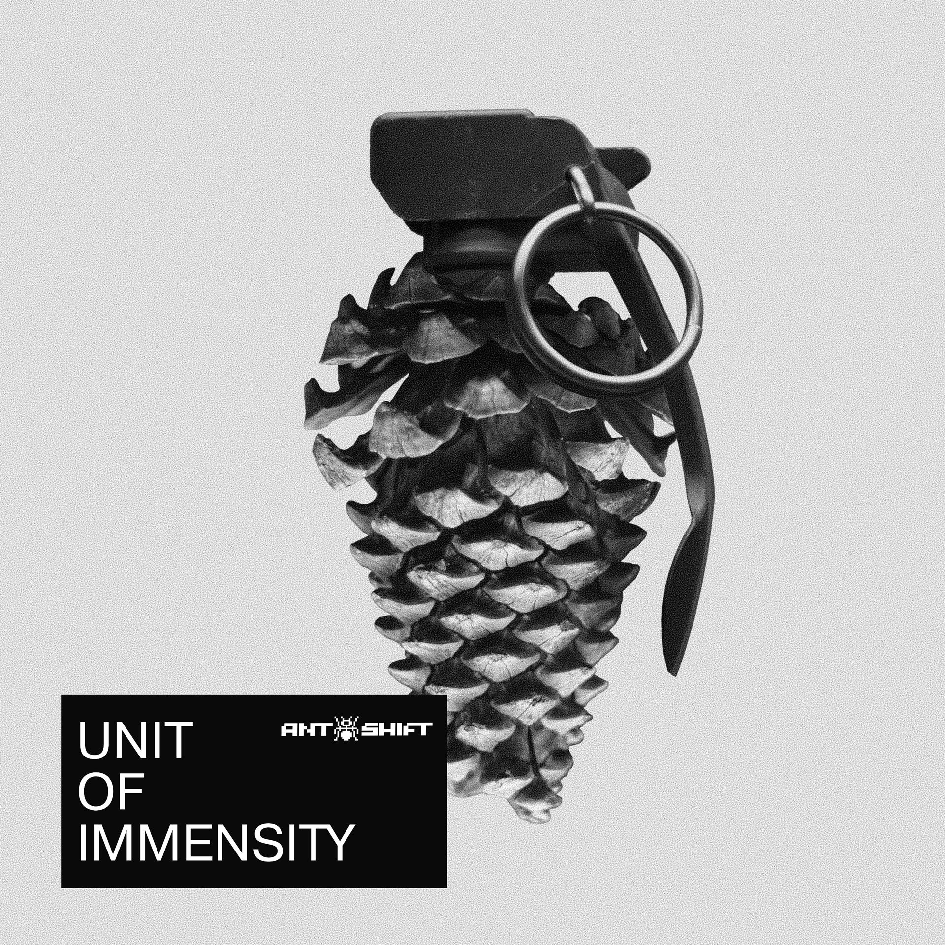 Постер альбома Unit Of Immensity
