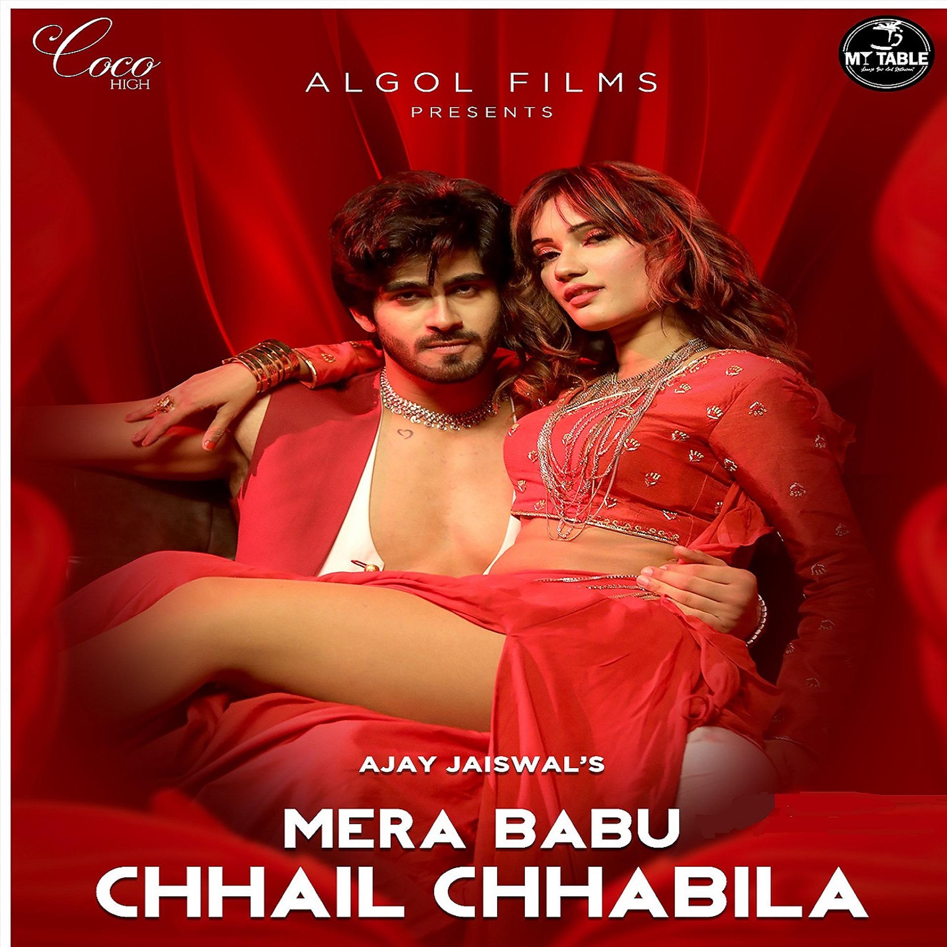 Постер альбома Mera Babu Chhail Chhabila
